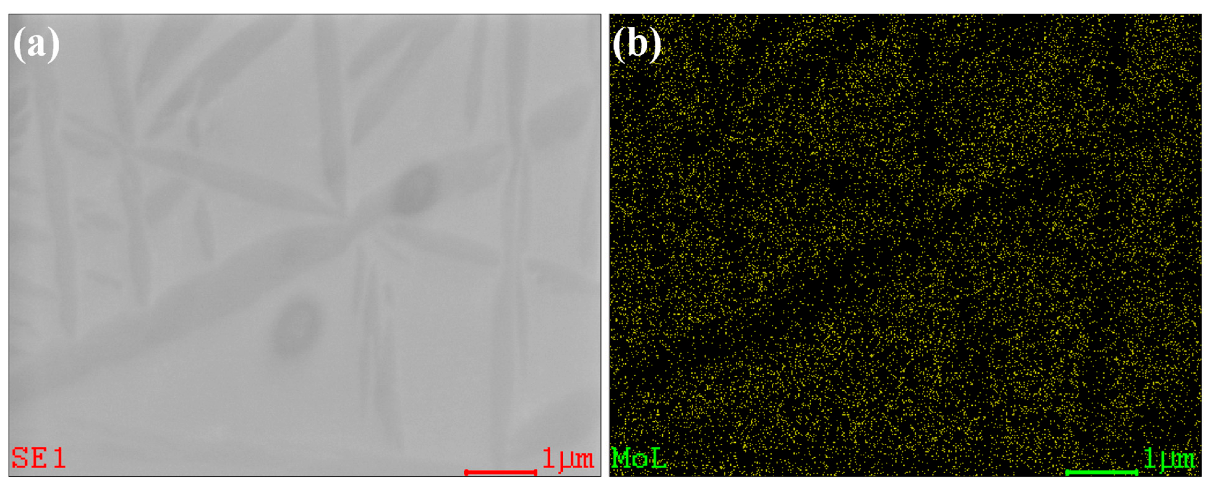 Materials 18 02448 g006