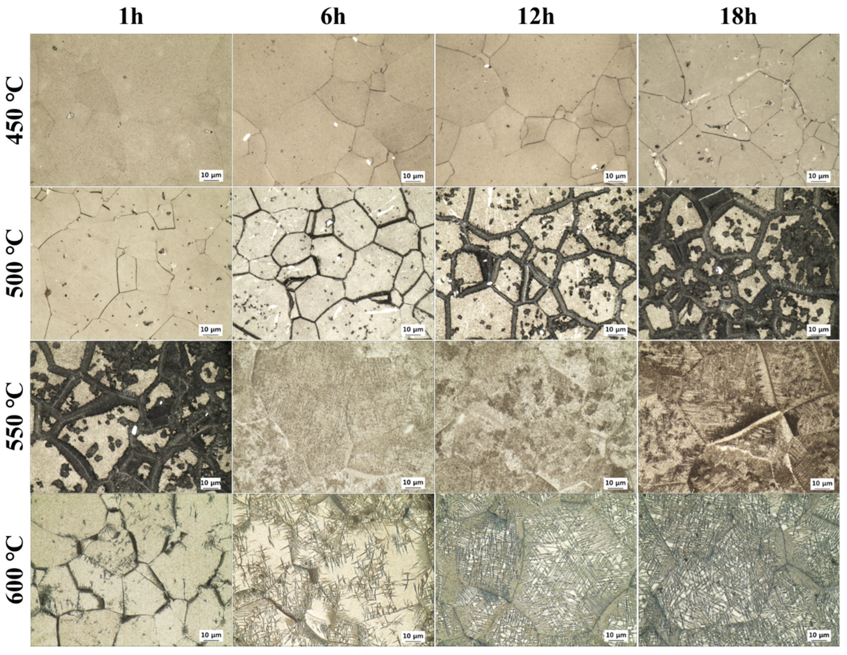 Materials 18 02448 g008