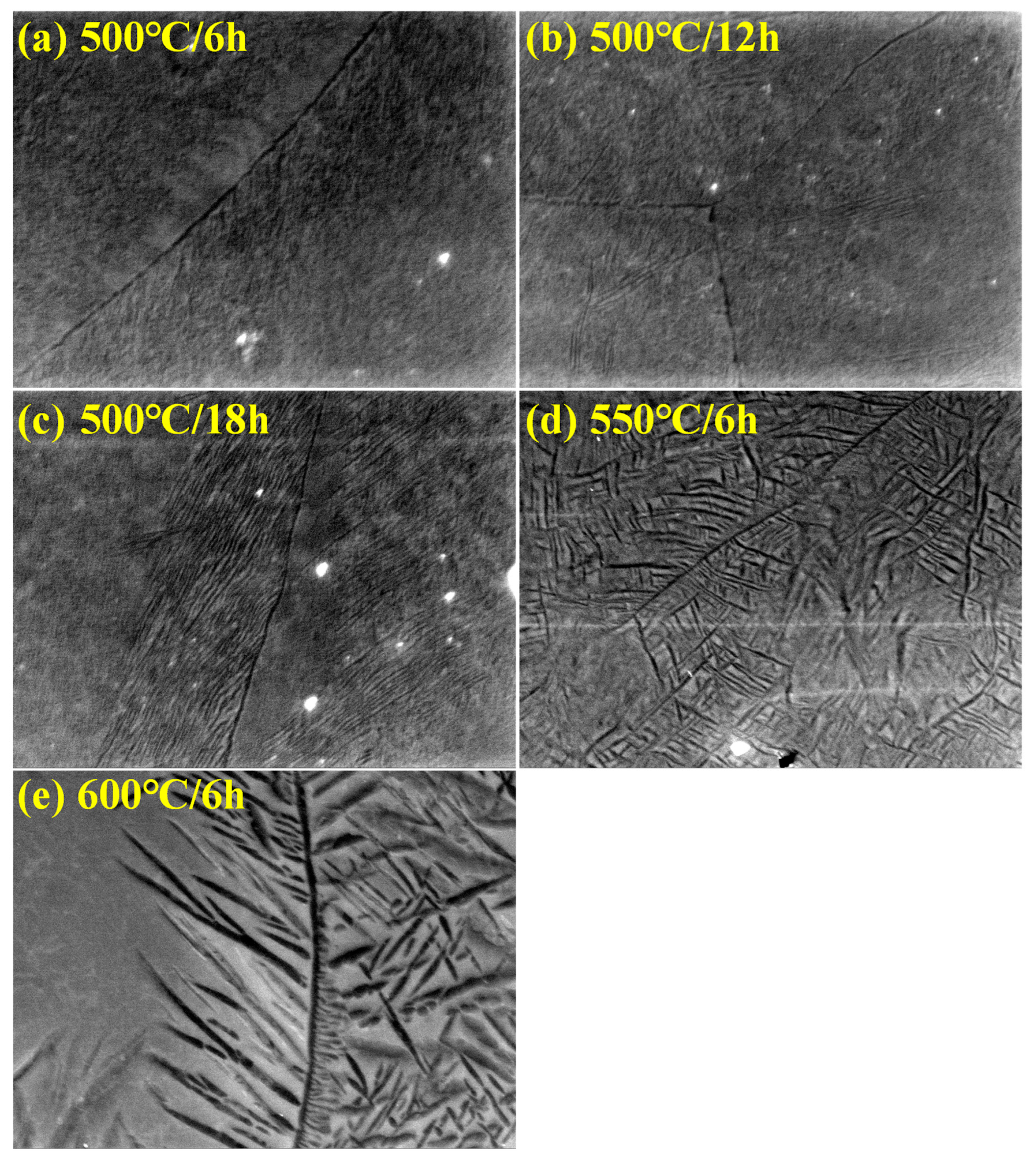 Materials 18 02448 g009