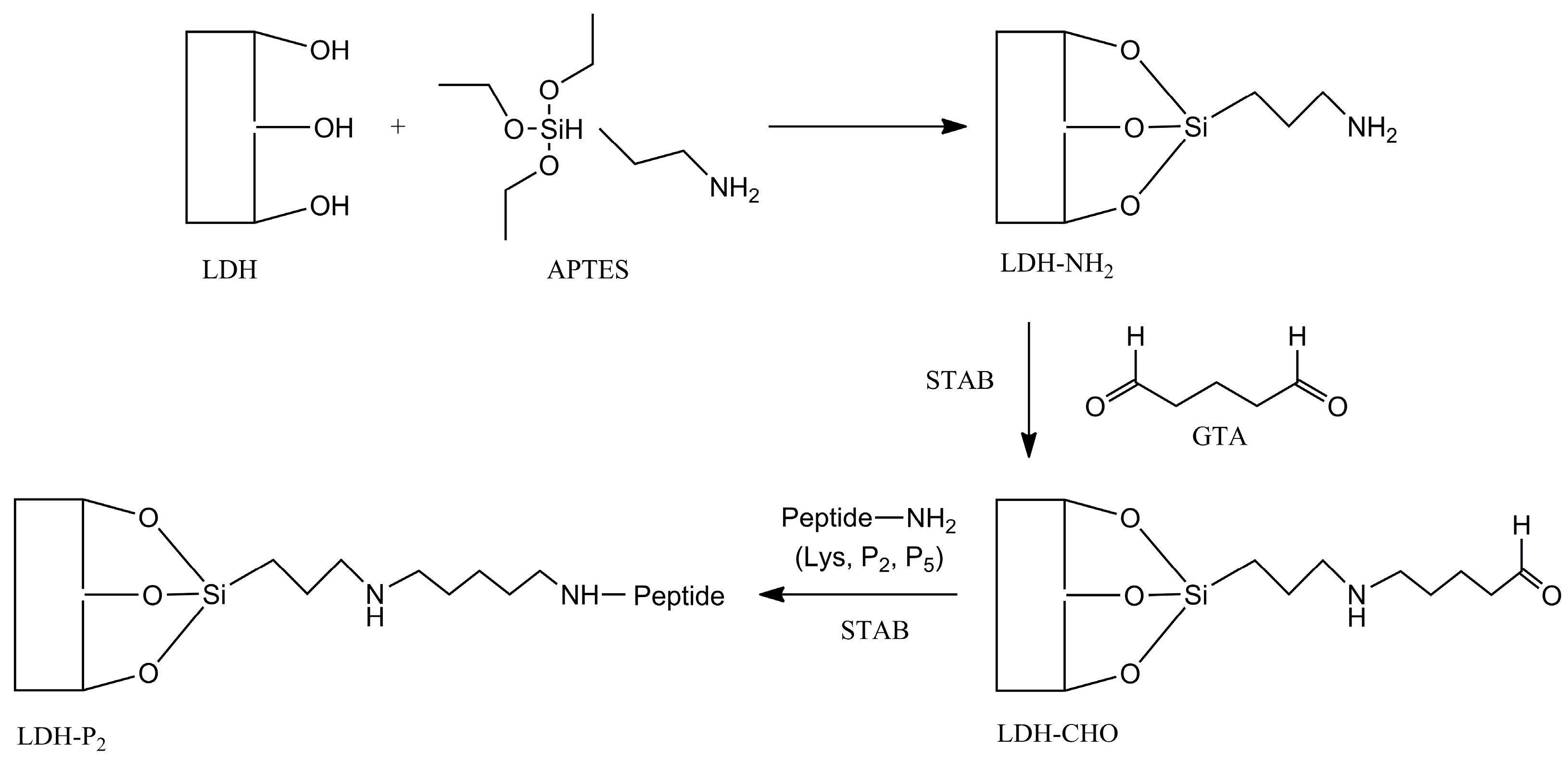 Materials 18 02449 g001