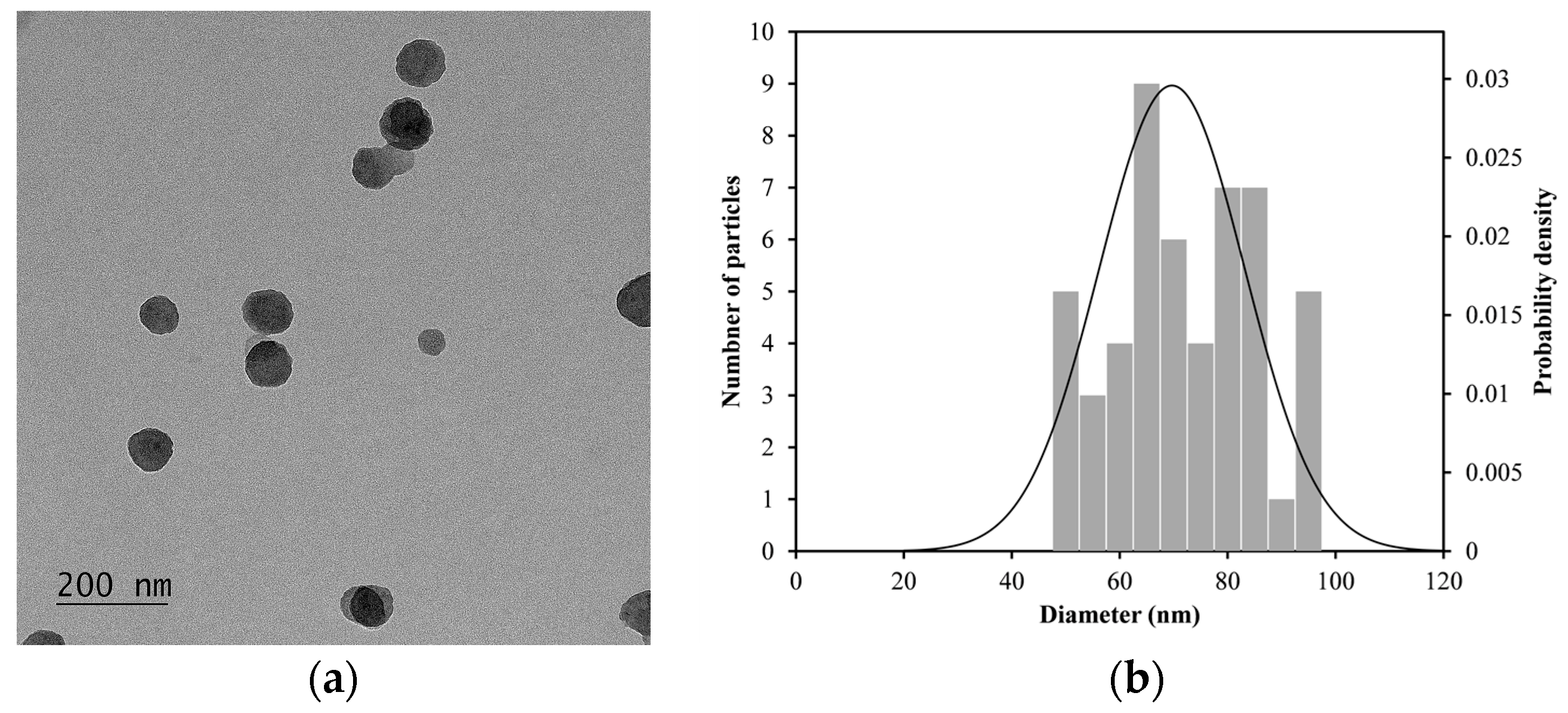 Materials 18 02449 g004