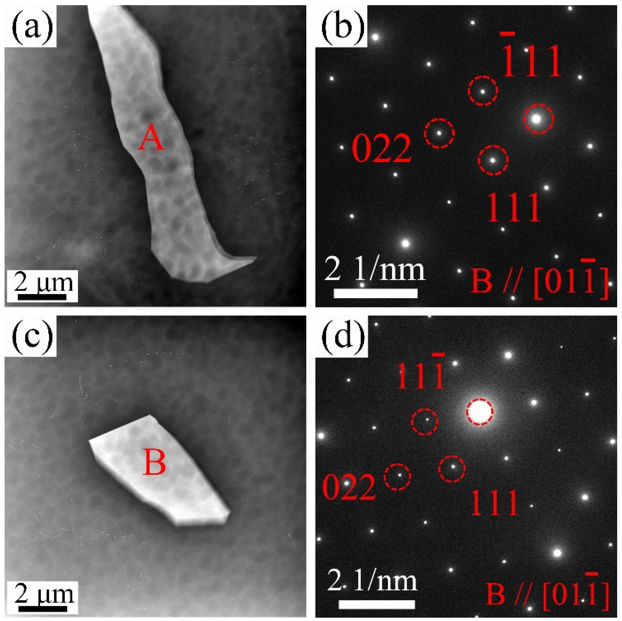 Materials 18 02475 g005