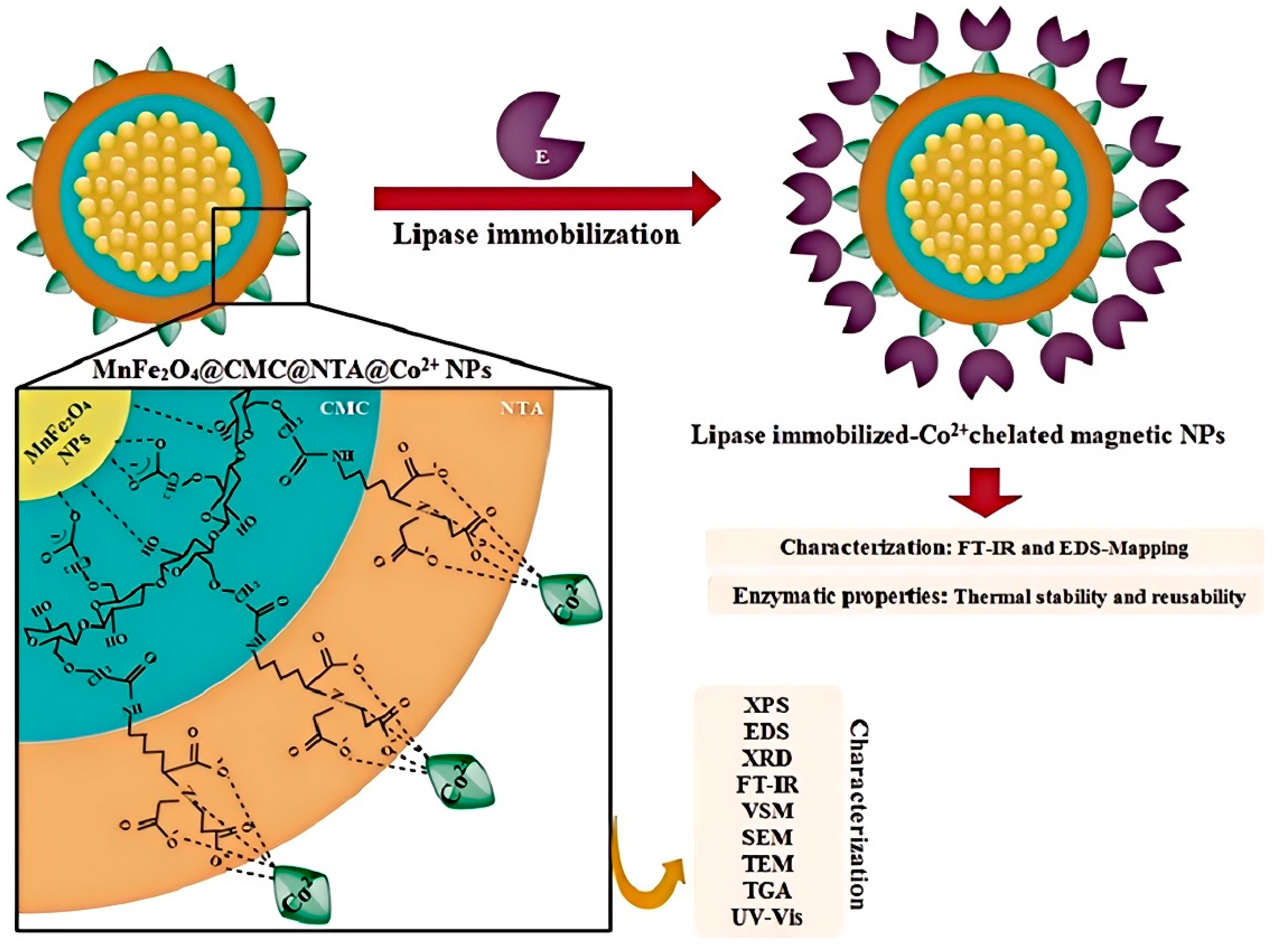 Materials 18 02476 g005