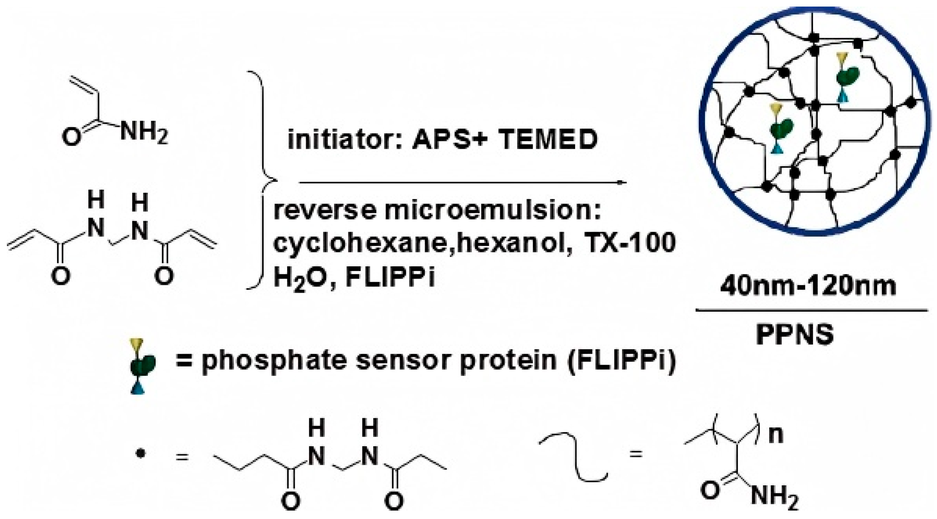 Materials 18 02476 g006