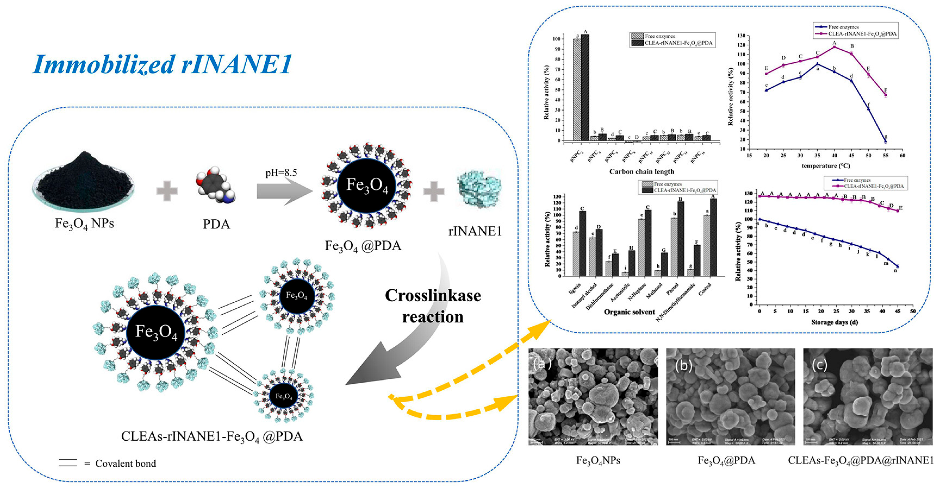 Materials 18 02476 g008