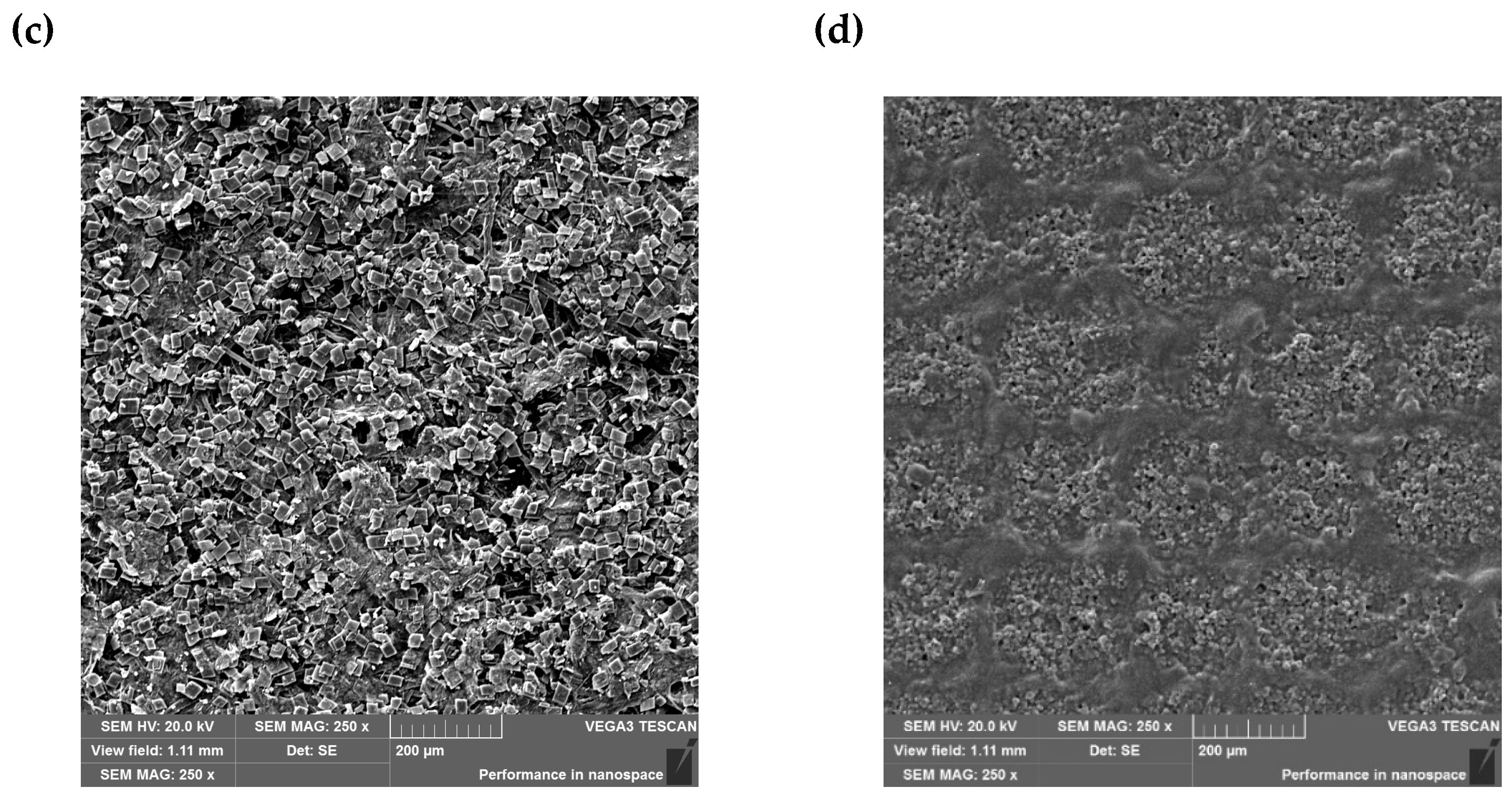 Materials 18 02501 g003b