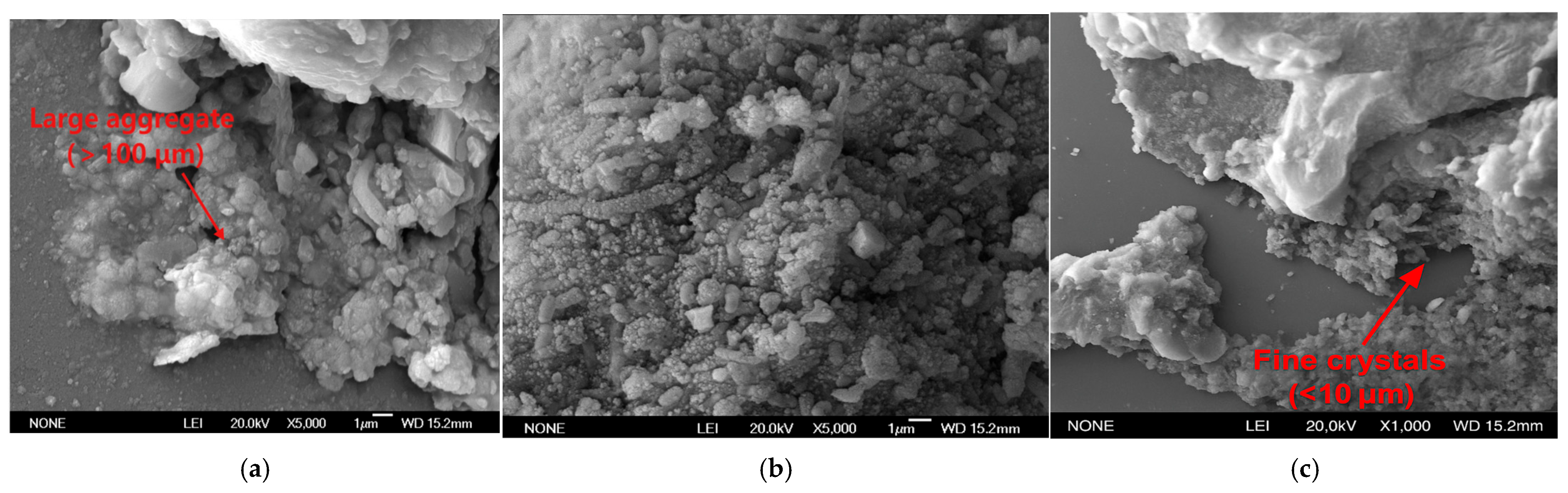 Materials 18 02514 g016