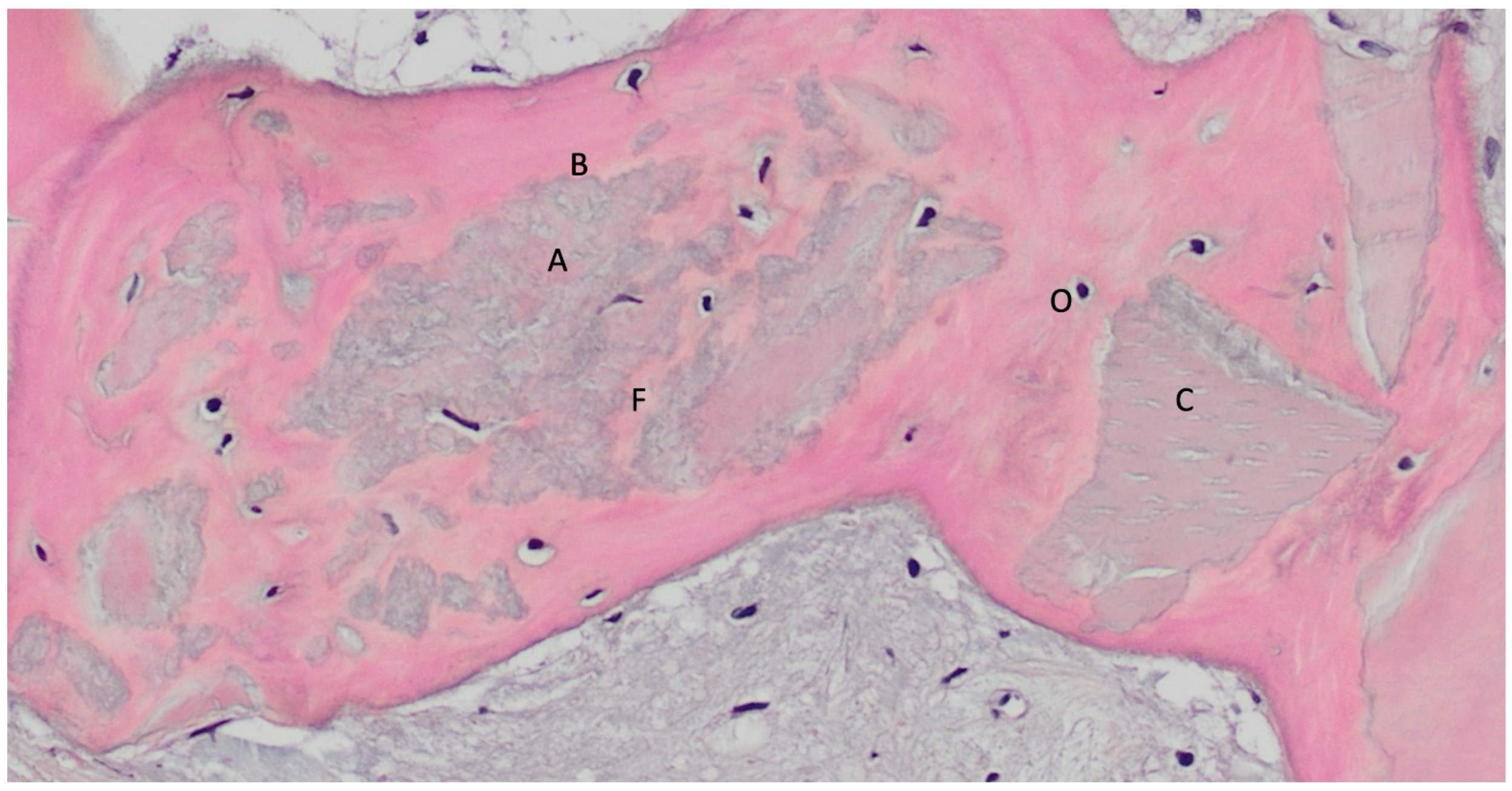 Materials 18 02518 g003