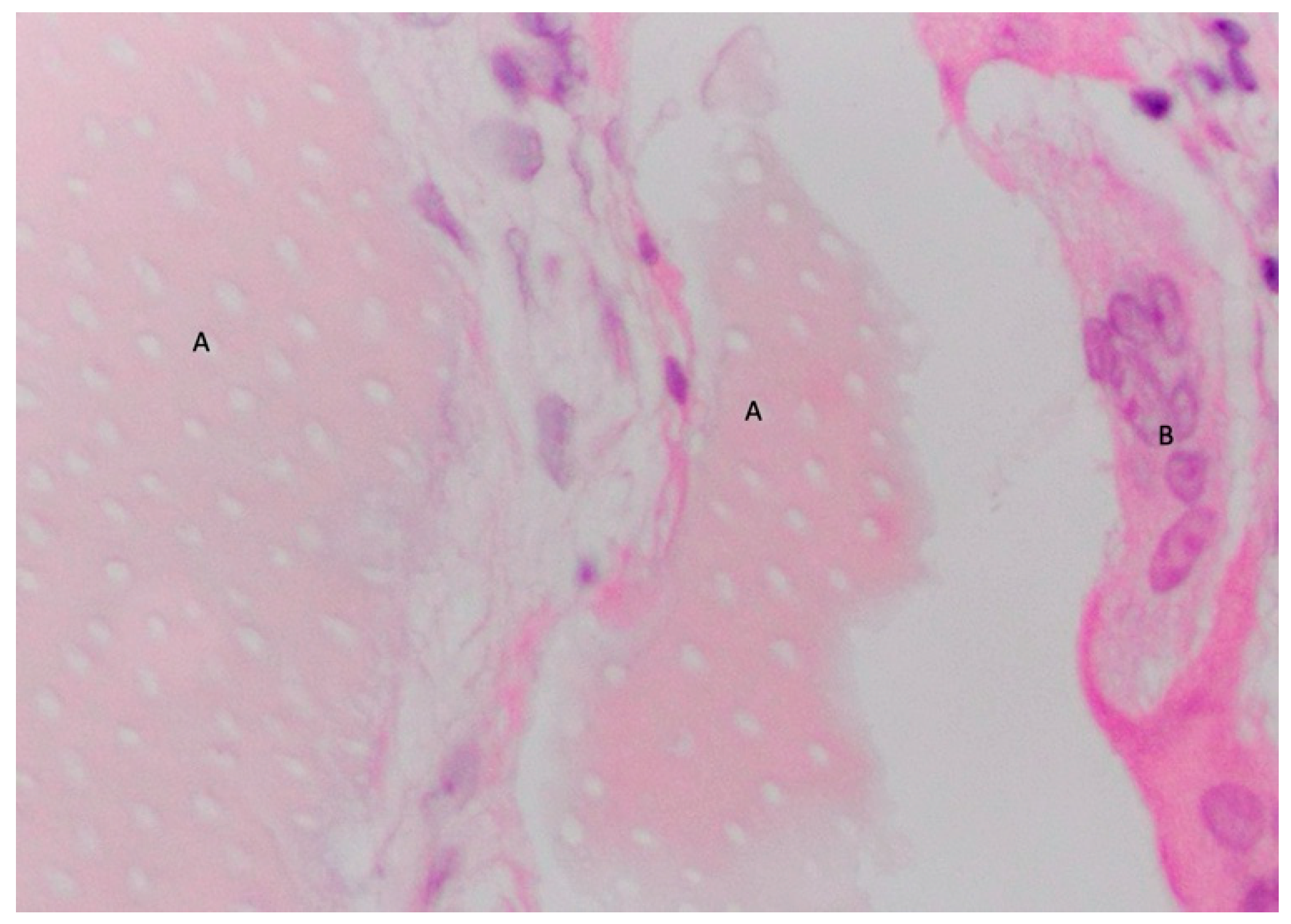 Materials 18 02518 g004