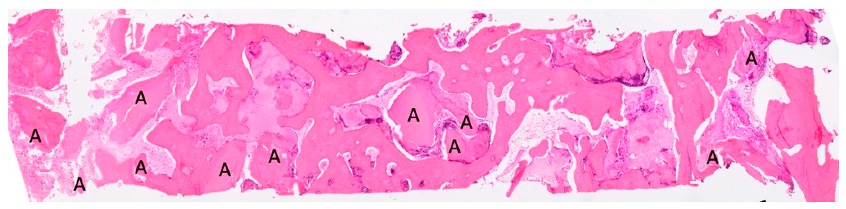 Materials 18 02518 g008