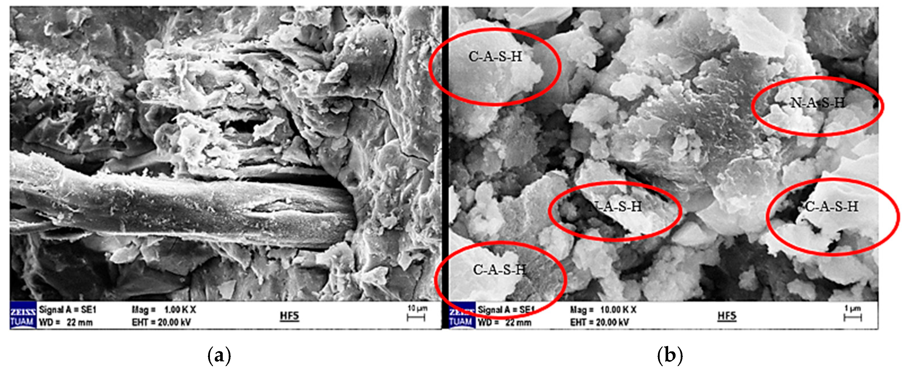 Materials 18 02536 g021