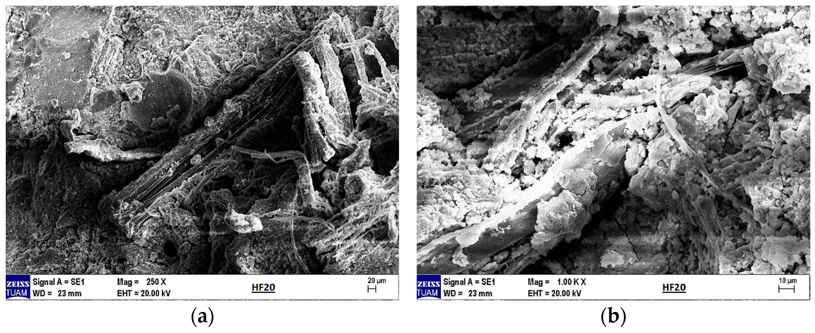 Materials 18 02536 g025