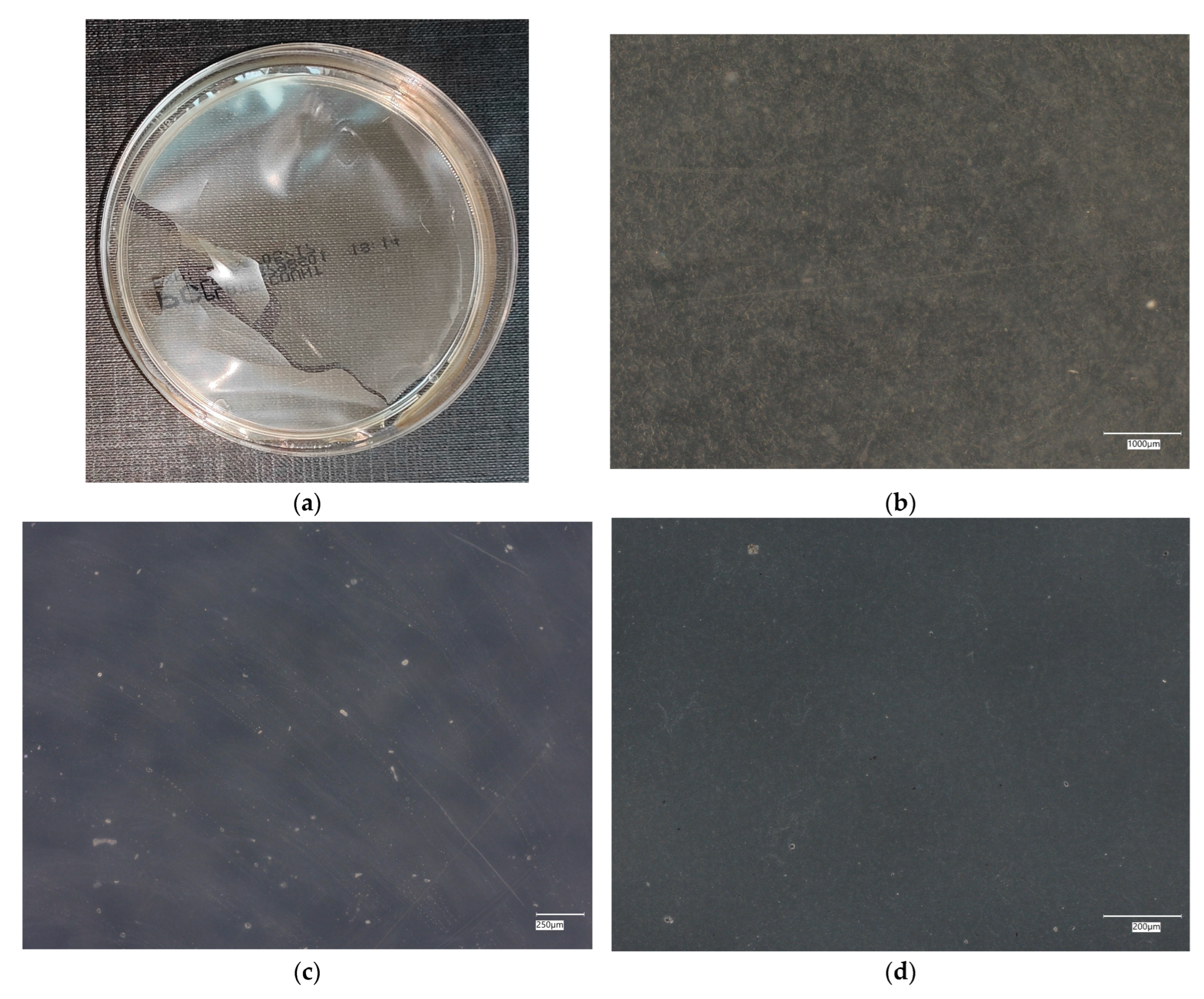 Materials 18 02560 g006 Materials 18 02560 g006