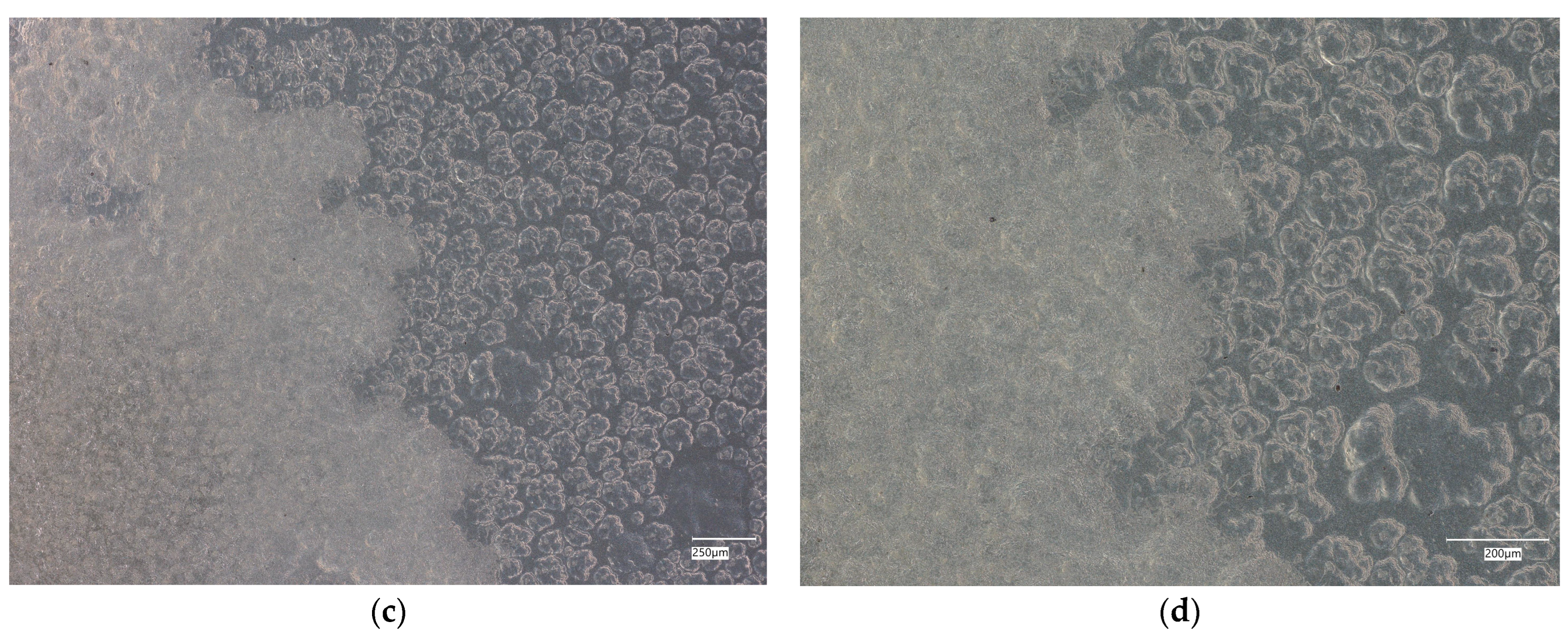 Materials 18 02560 g008b Materials 18 02560 g008b