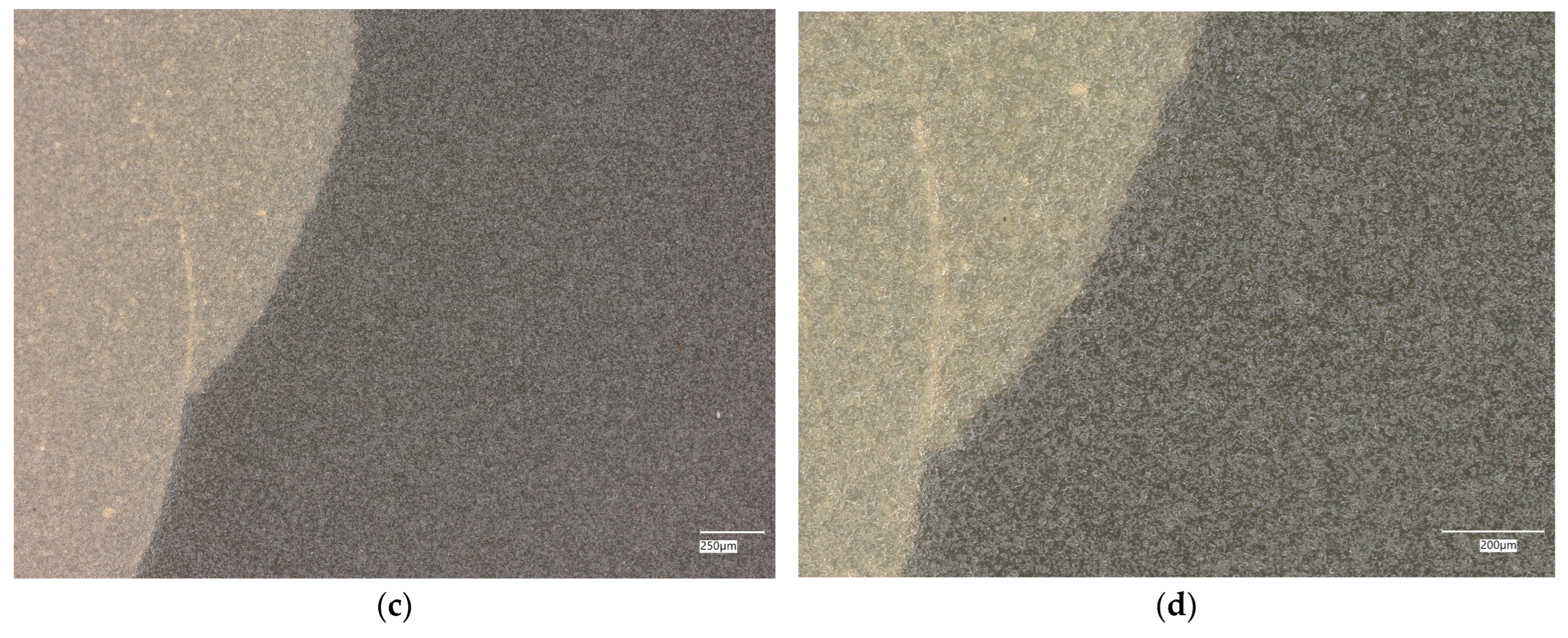 Materials 18 02560 g015b Materials 18 02560 g015b