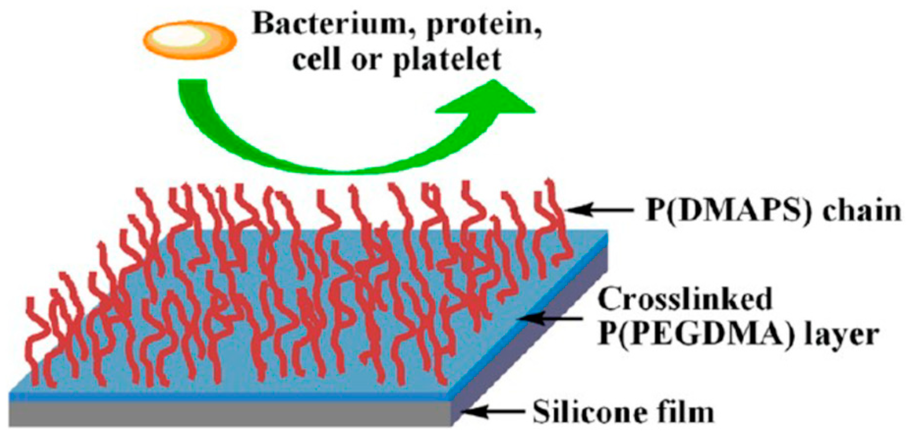 Materials 18 02561 g005