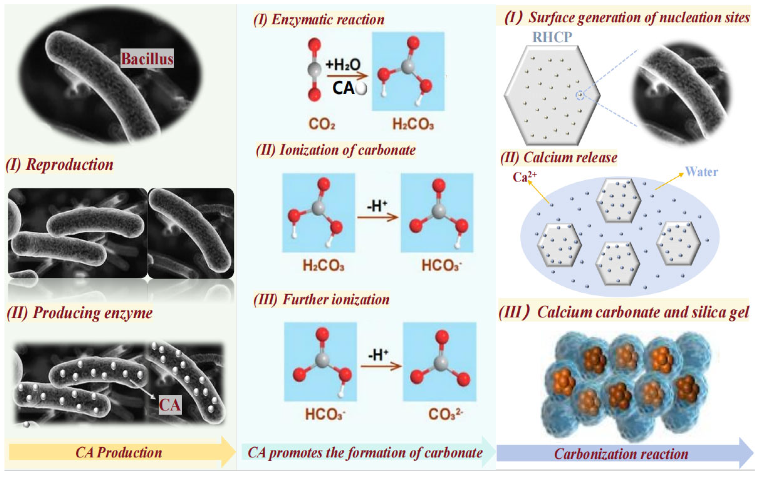 Materials 18 02575 g009