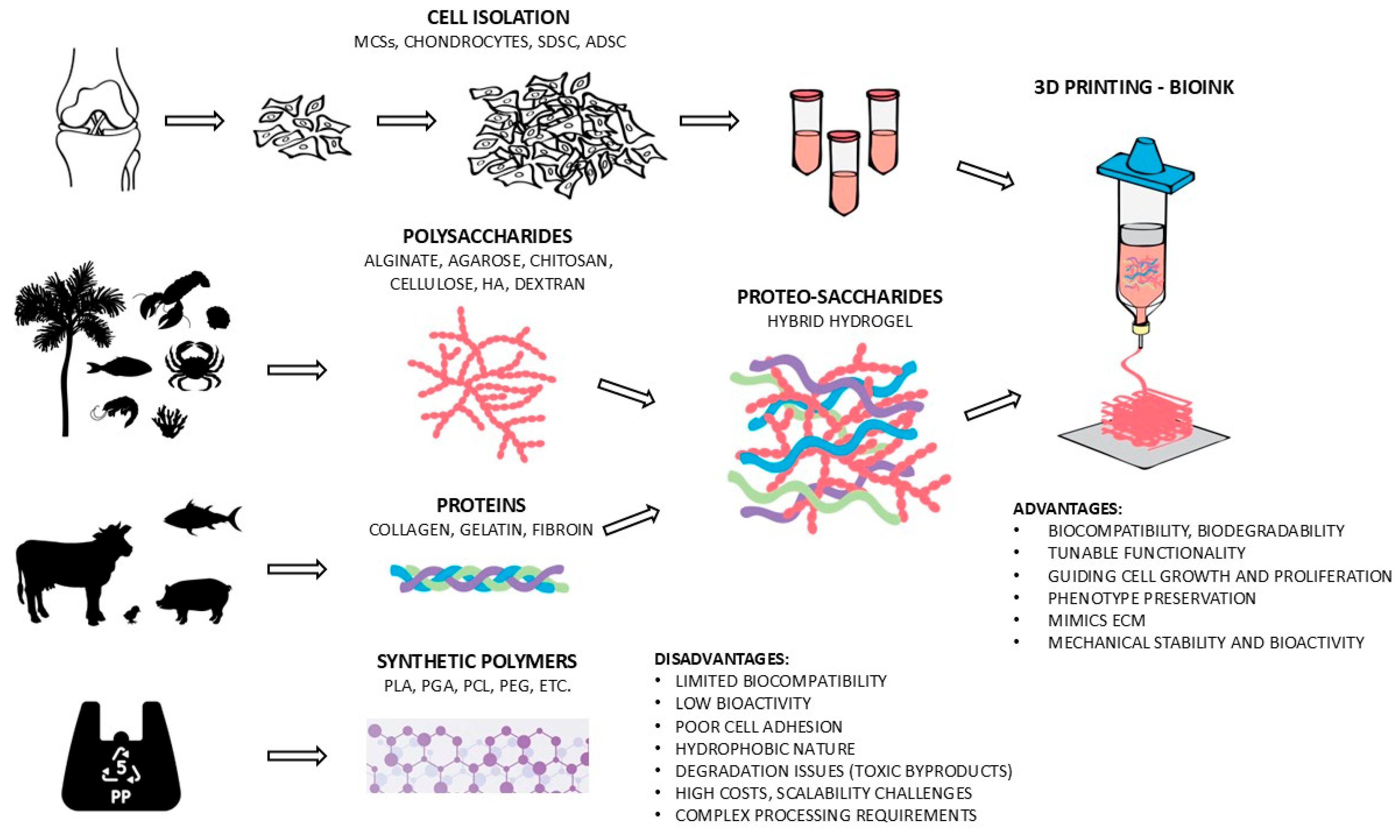 Materials 18 02576 g003