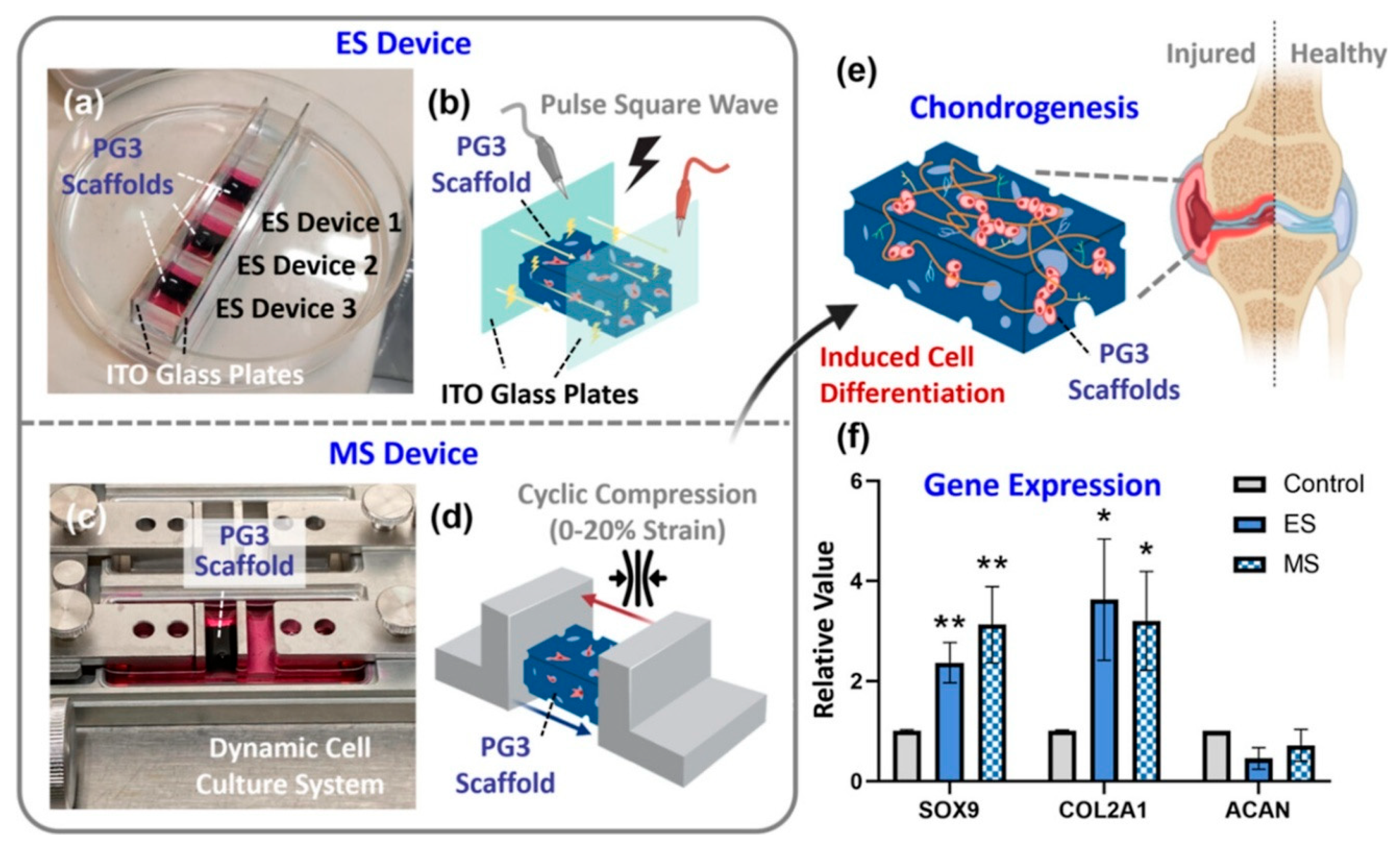 Materials 18 02576 g005