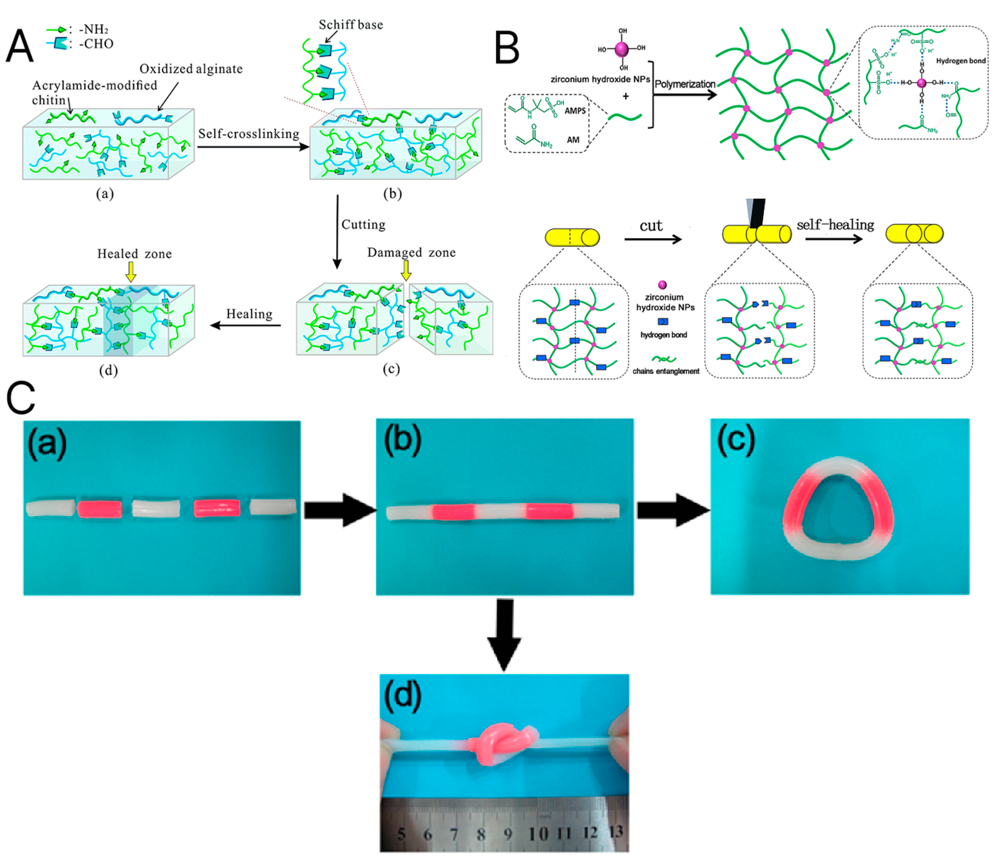 Materials 18 02576 g008