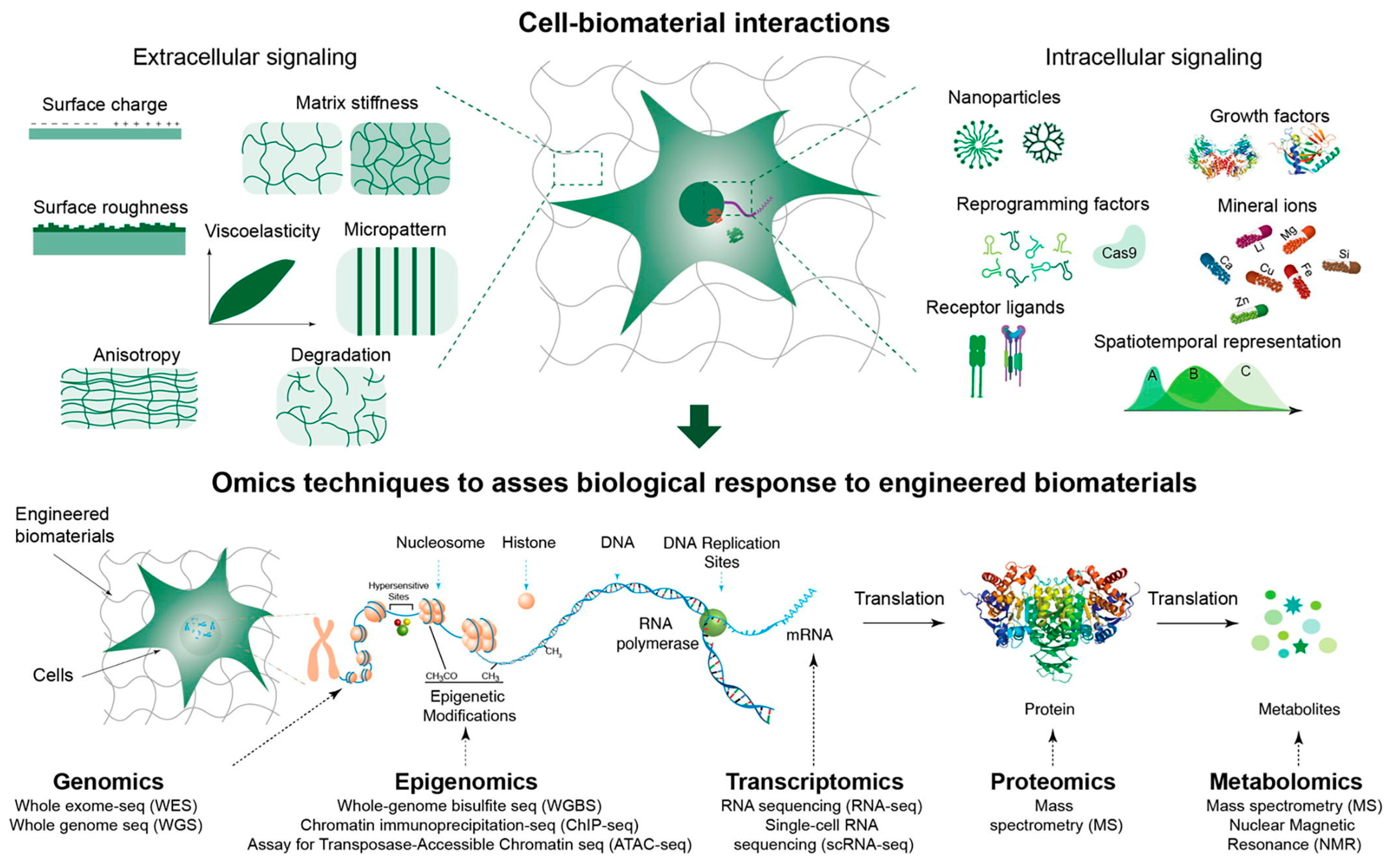 Materials 18 02576 g009