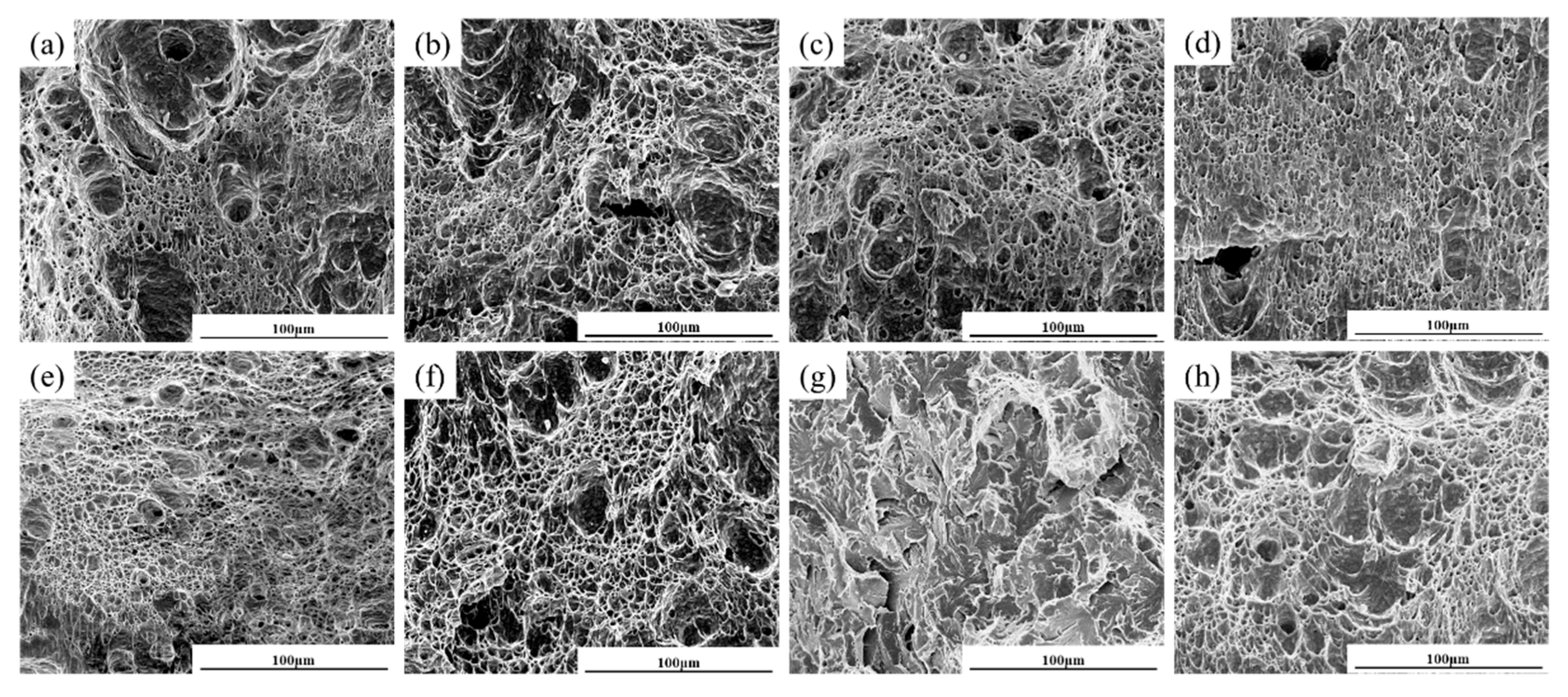 Materials 18 02607 g008