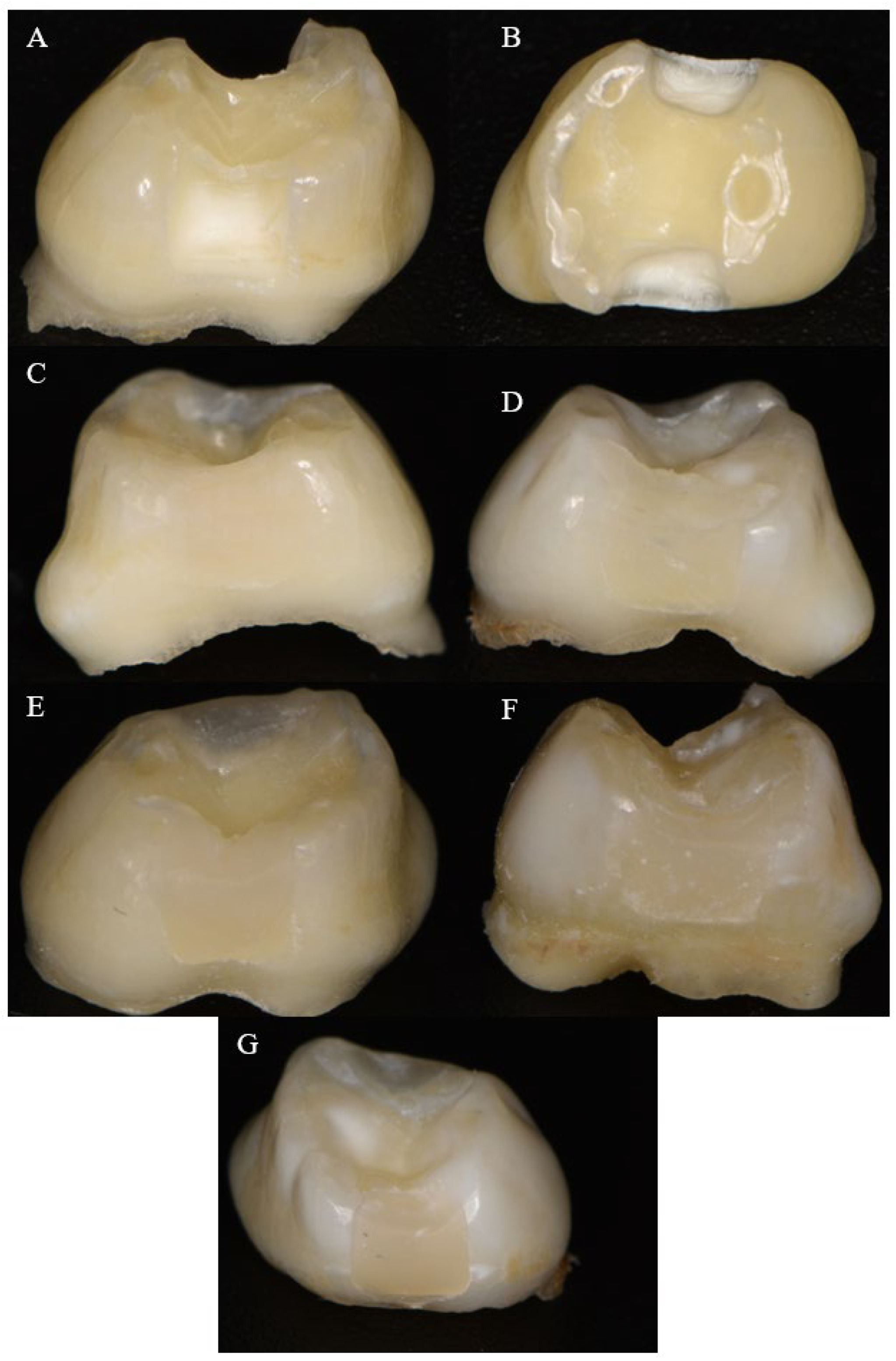 Materials 18 02621 g001