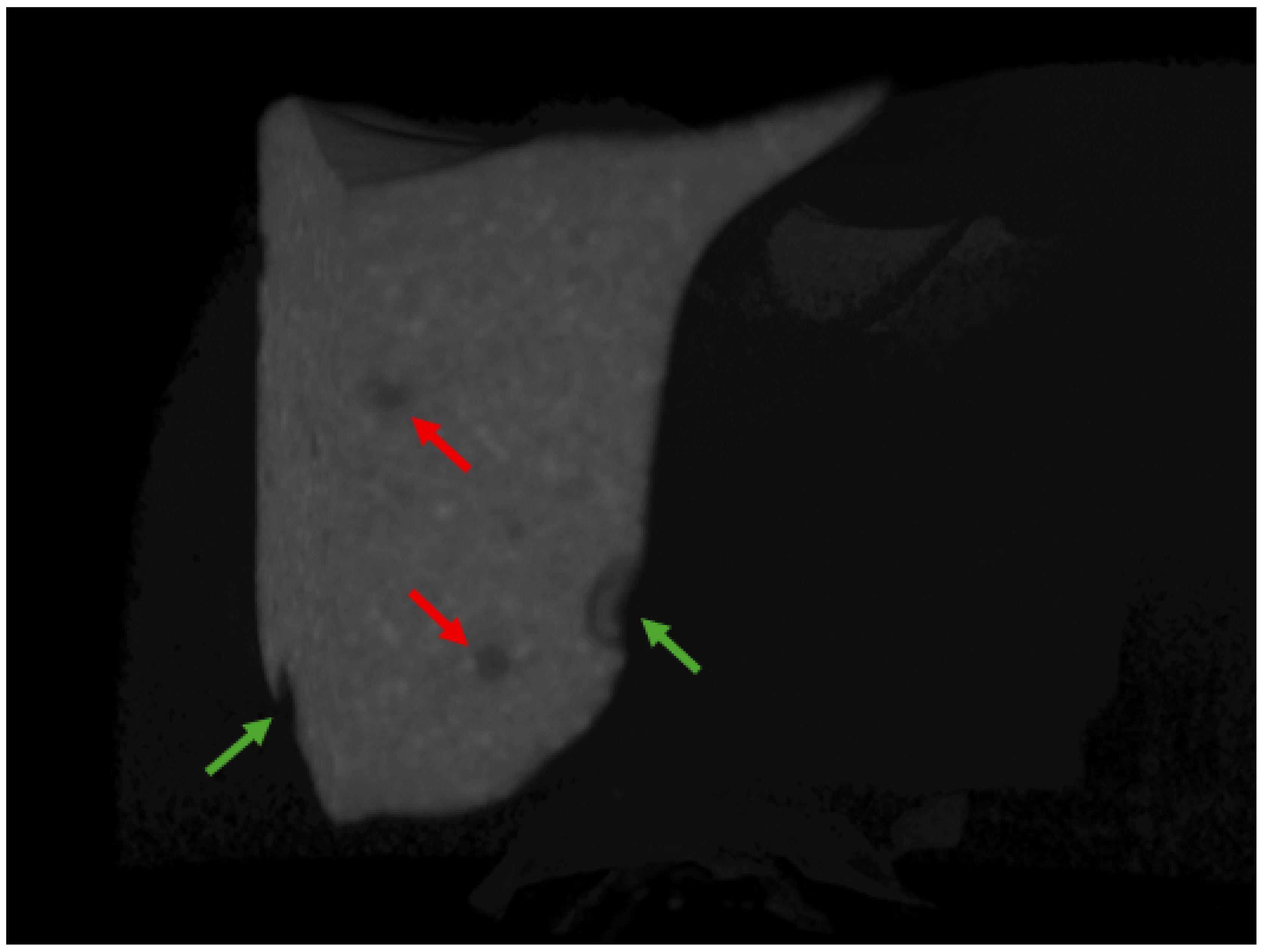 Materials 18 02621 g002