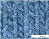 Materials 18 02655 i009