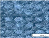 Materials 18 02655 i010