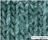 Materials 18 02655 i021