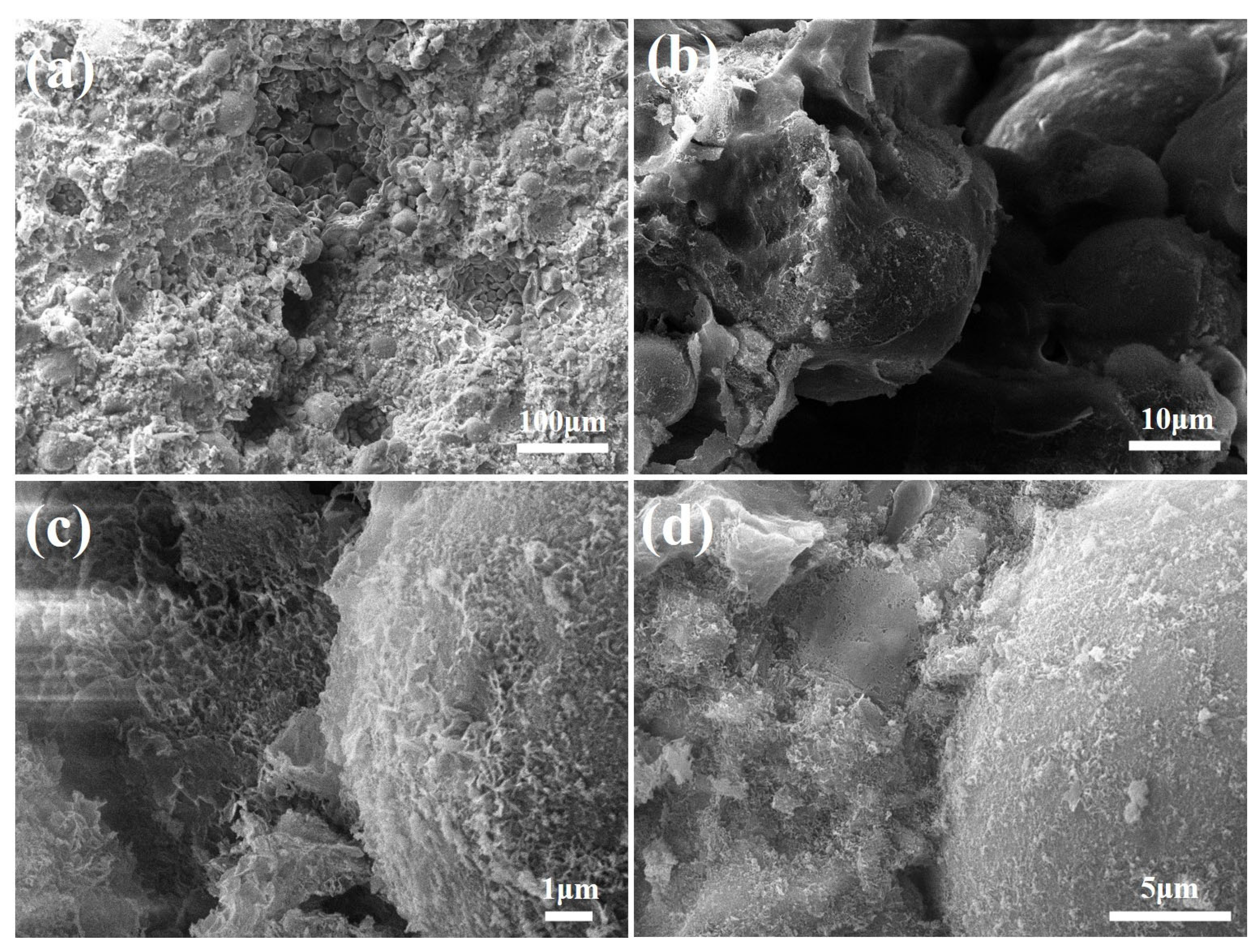 Materials 18 02739 g008 Materials 18 02739 g008