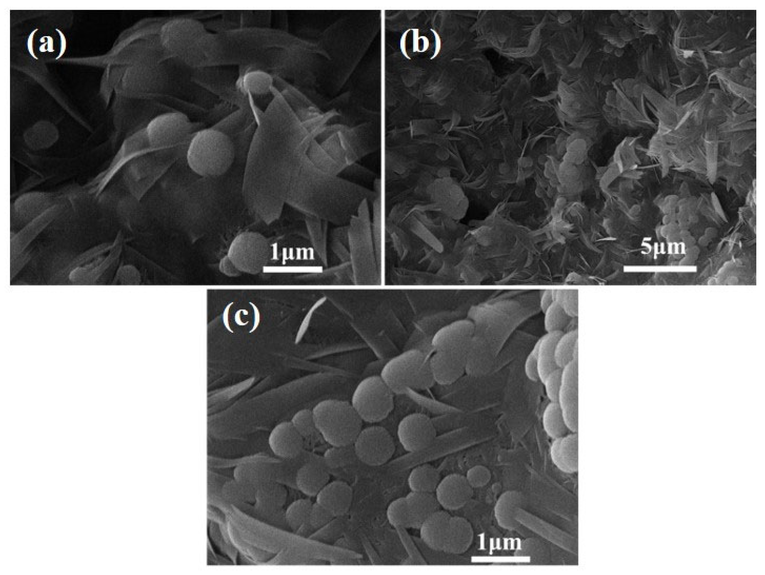 Materials 18 02739 g012 Materials 18 02739 g012