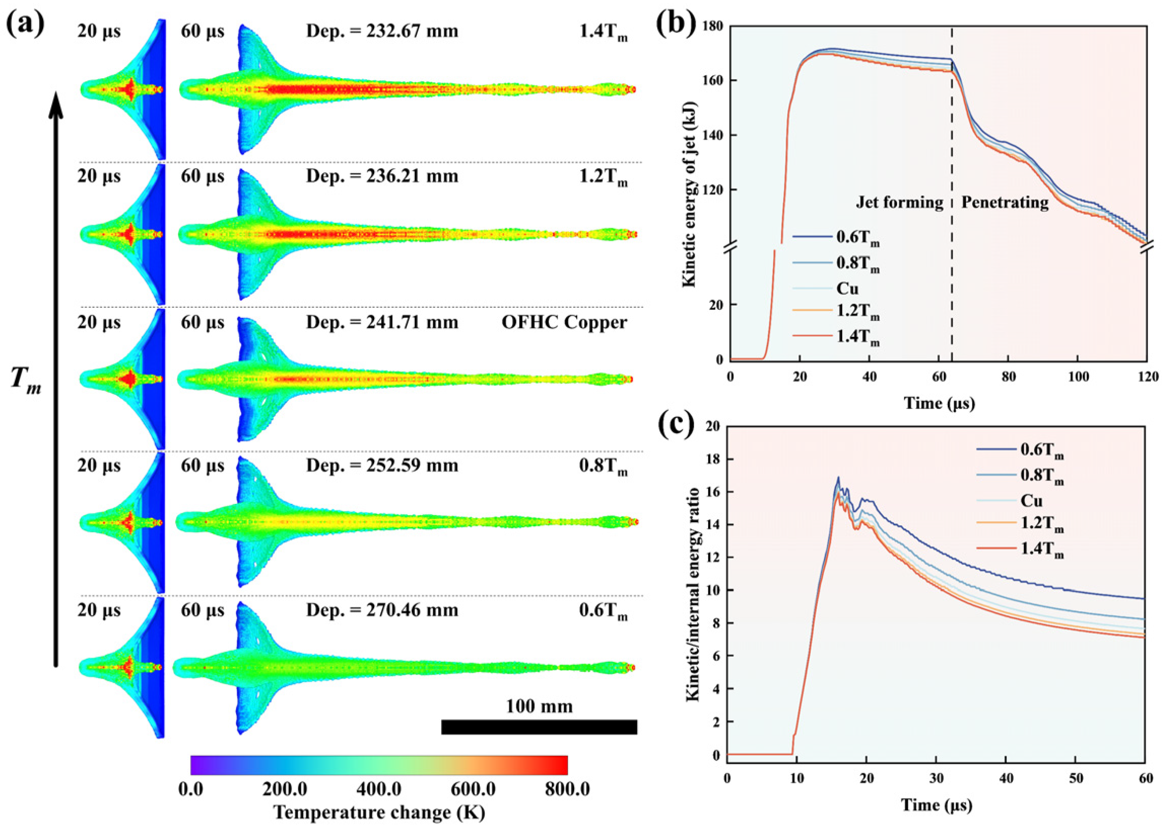 Materials 18 02742 g011