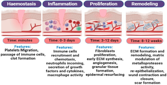 Materials 18 02752 g001