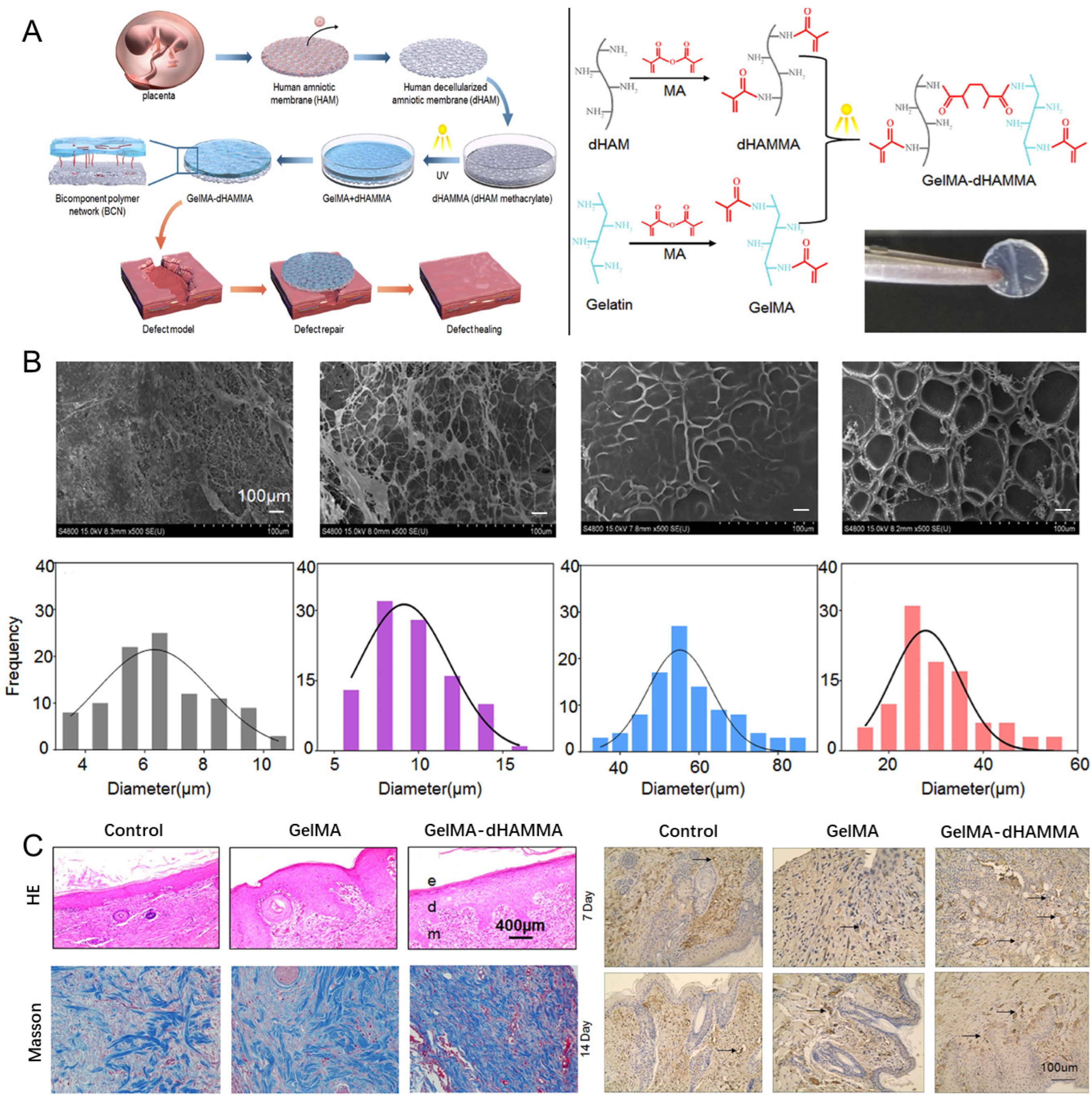 Materials 18 02752 g003