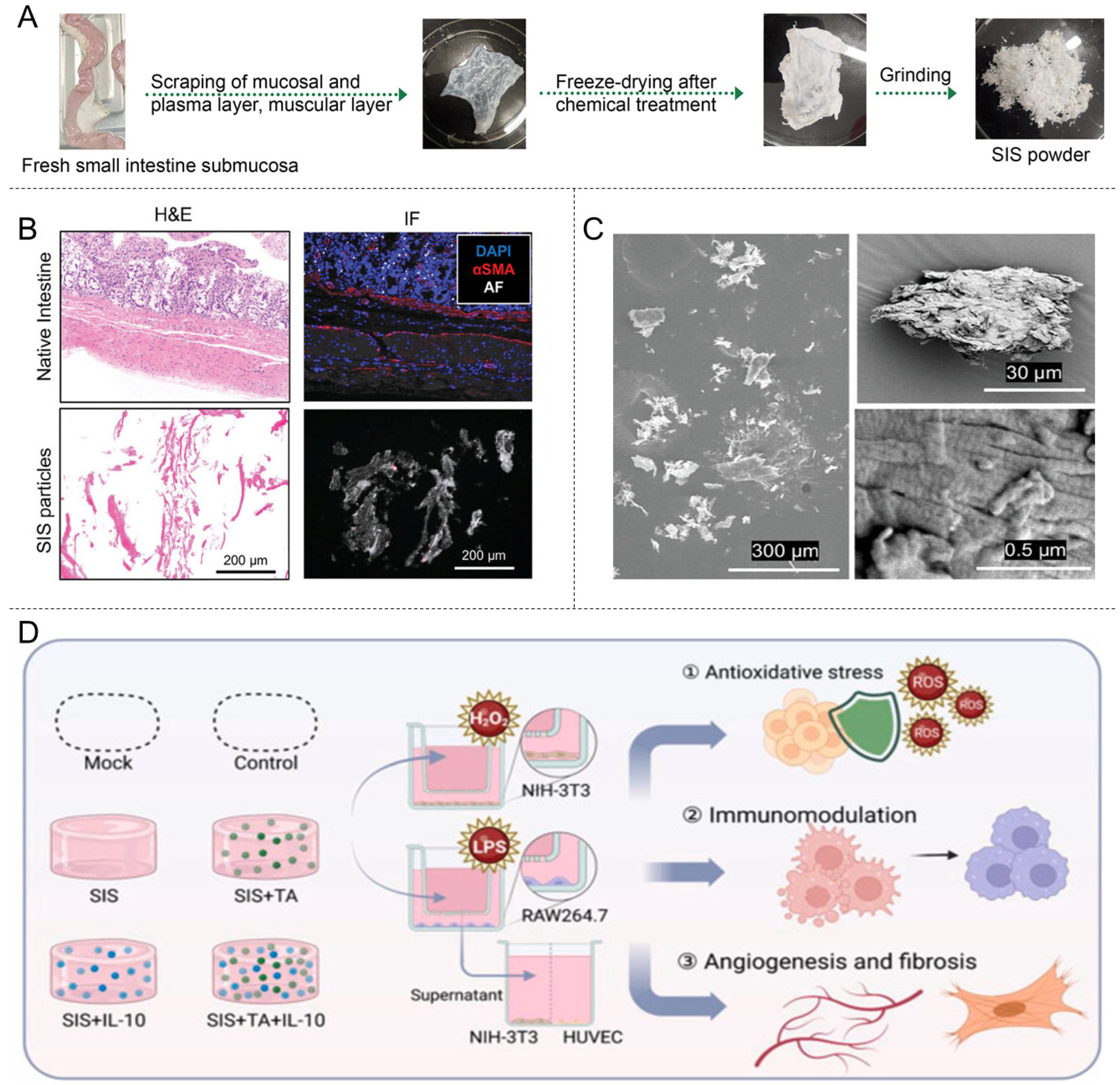 Materials 18 02752 g004