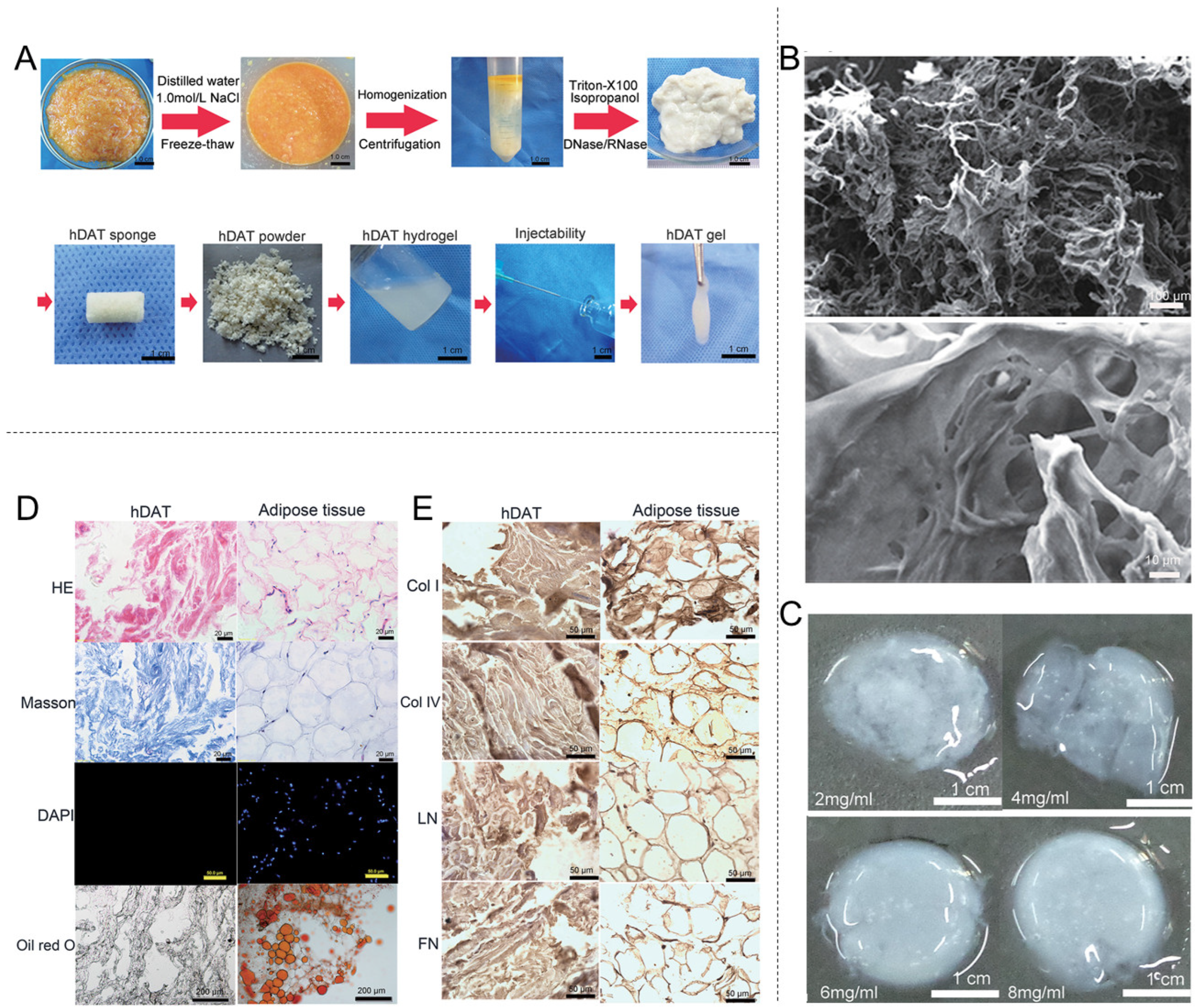 Materials 18 02752 g005