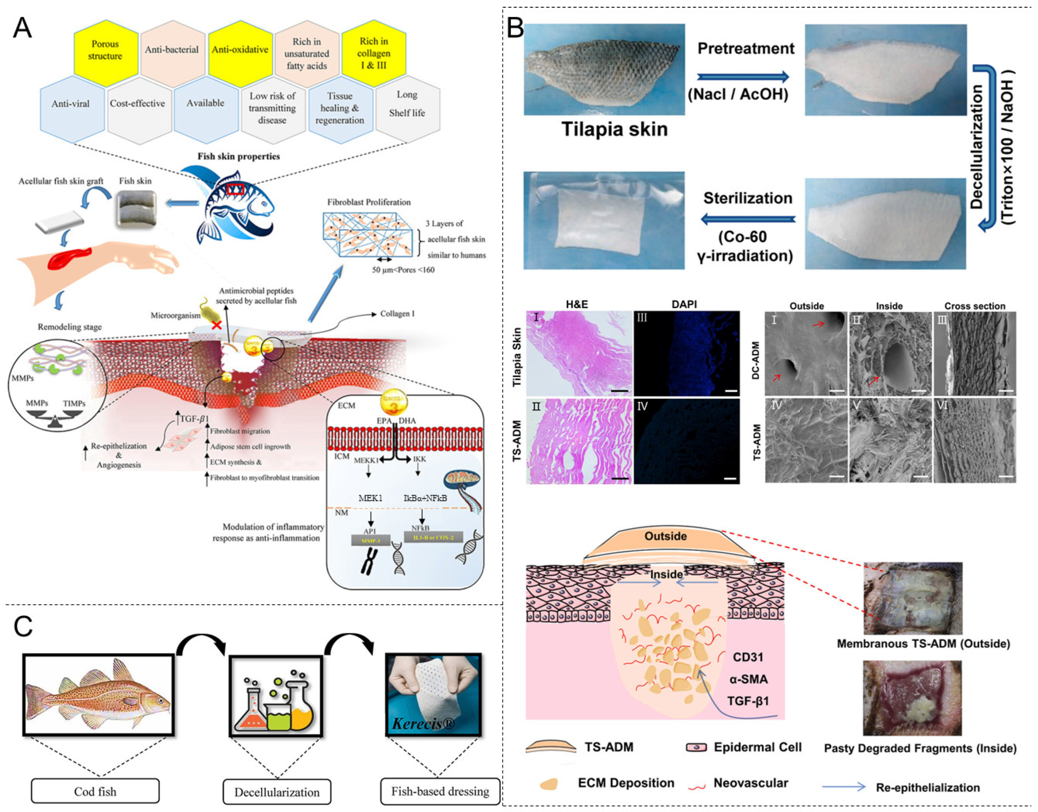 Materials 18 02752 g006