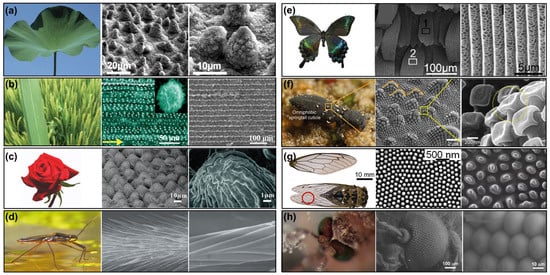 Materials 18 02772 g001