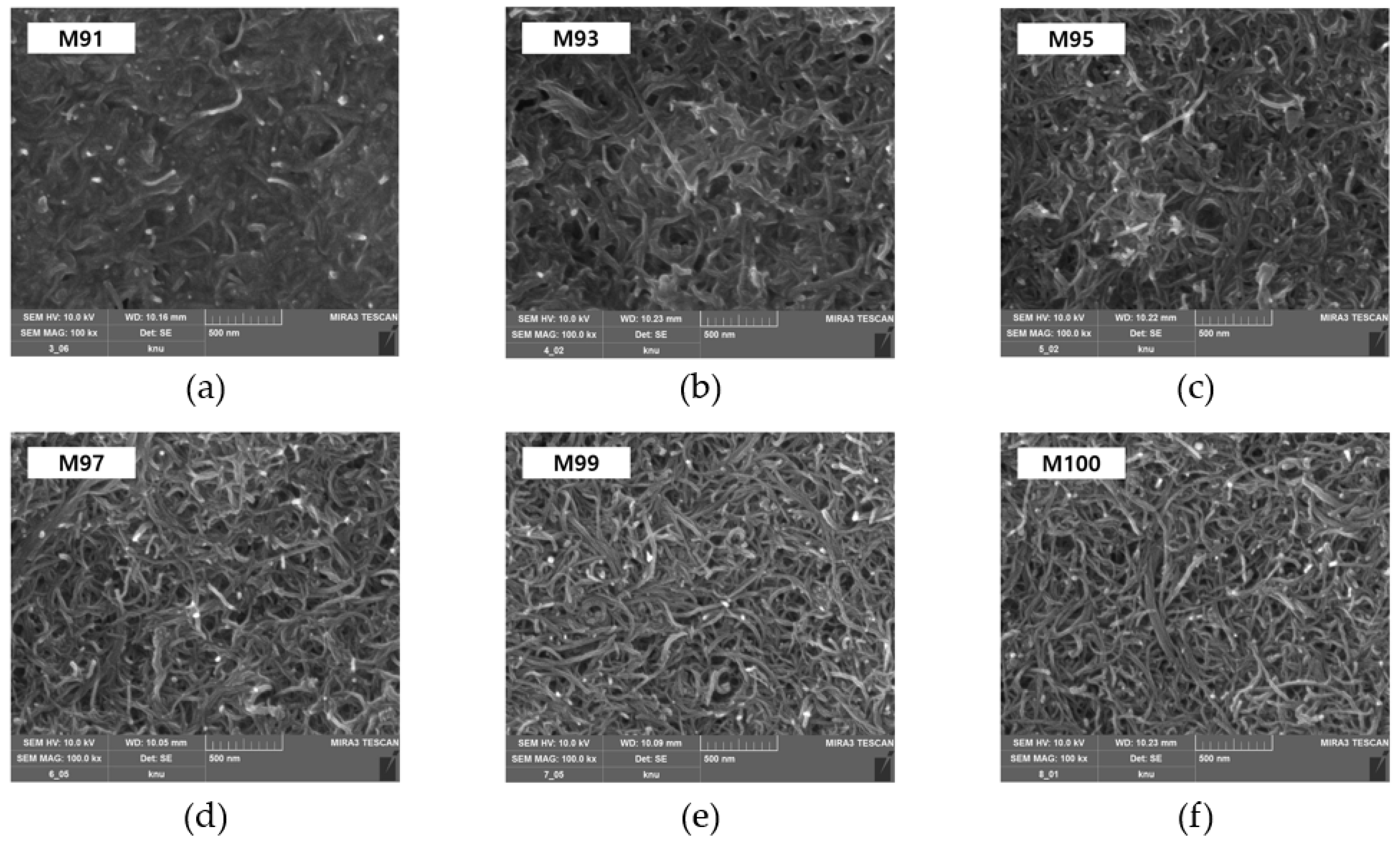 Materials 18 02773 g014