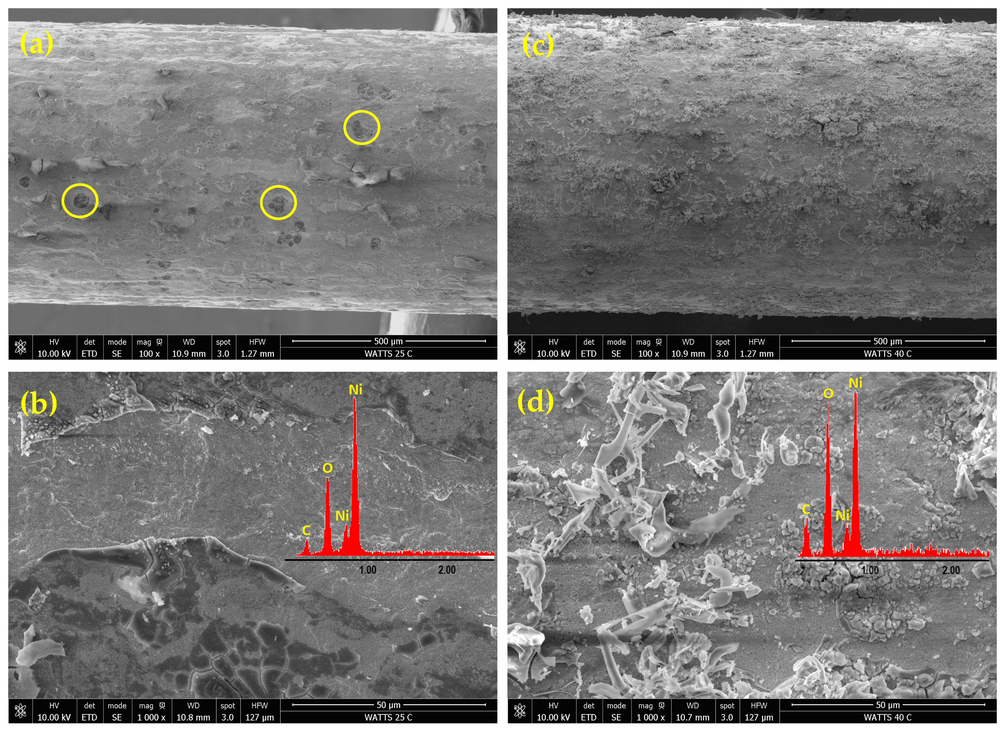 Materials 18 02775 g002