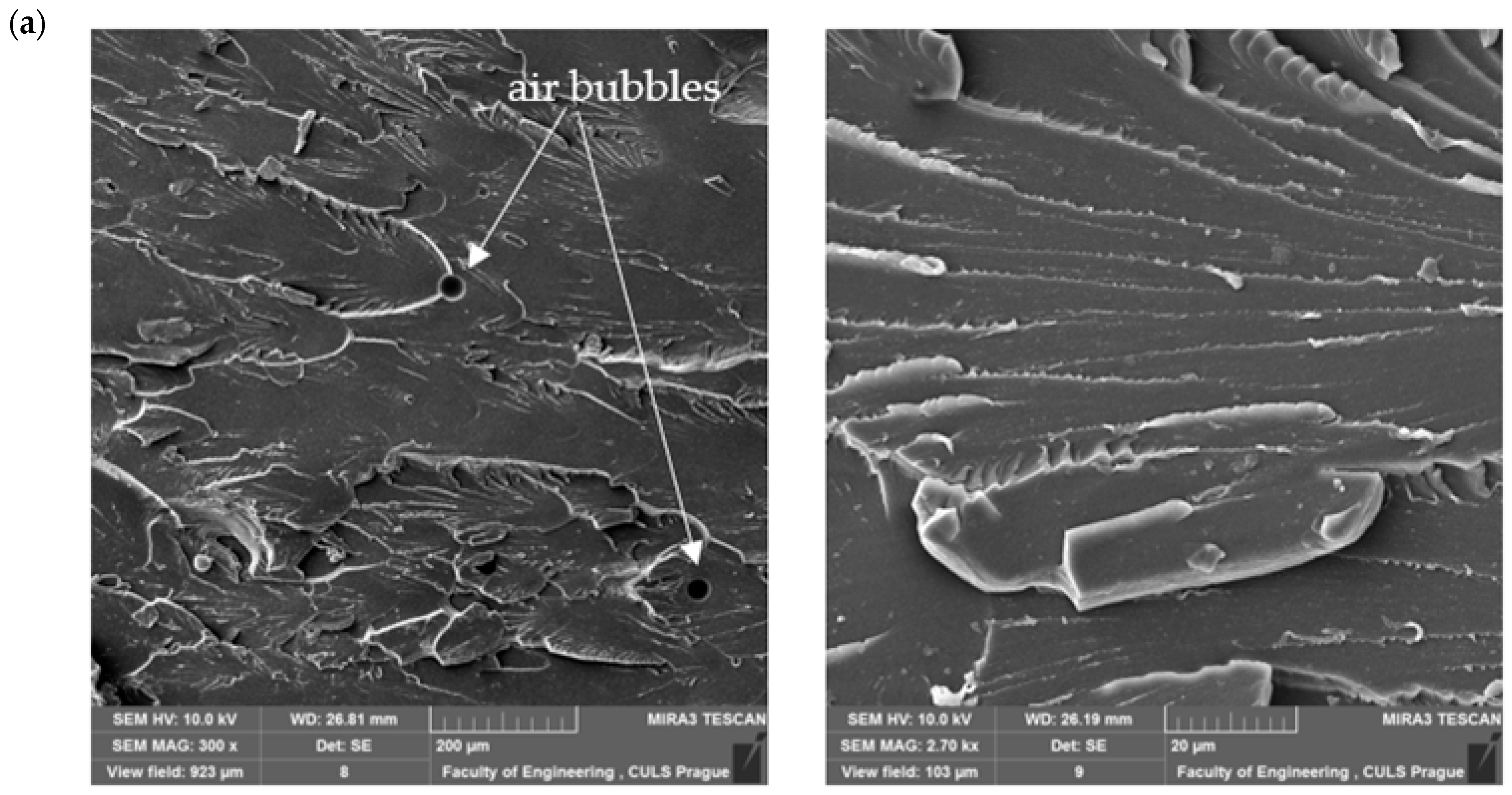 Materials 18 02803 g007a