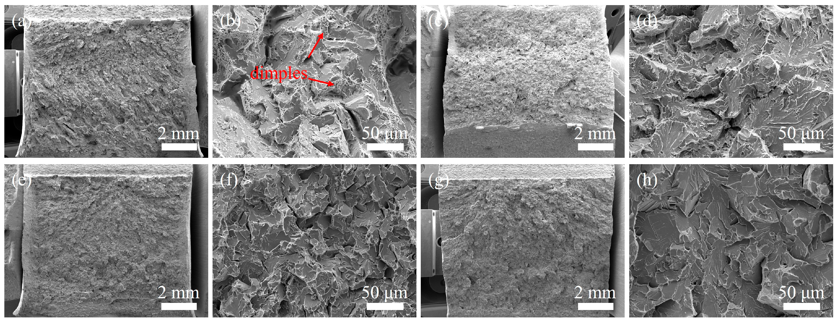 Materials 18 02805 g011