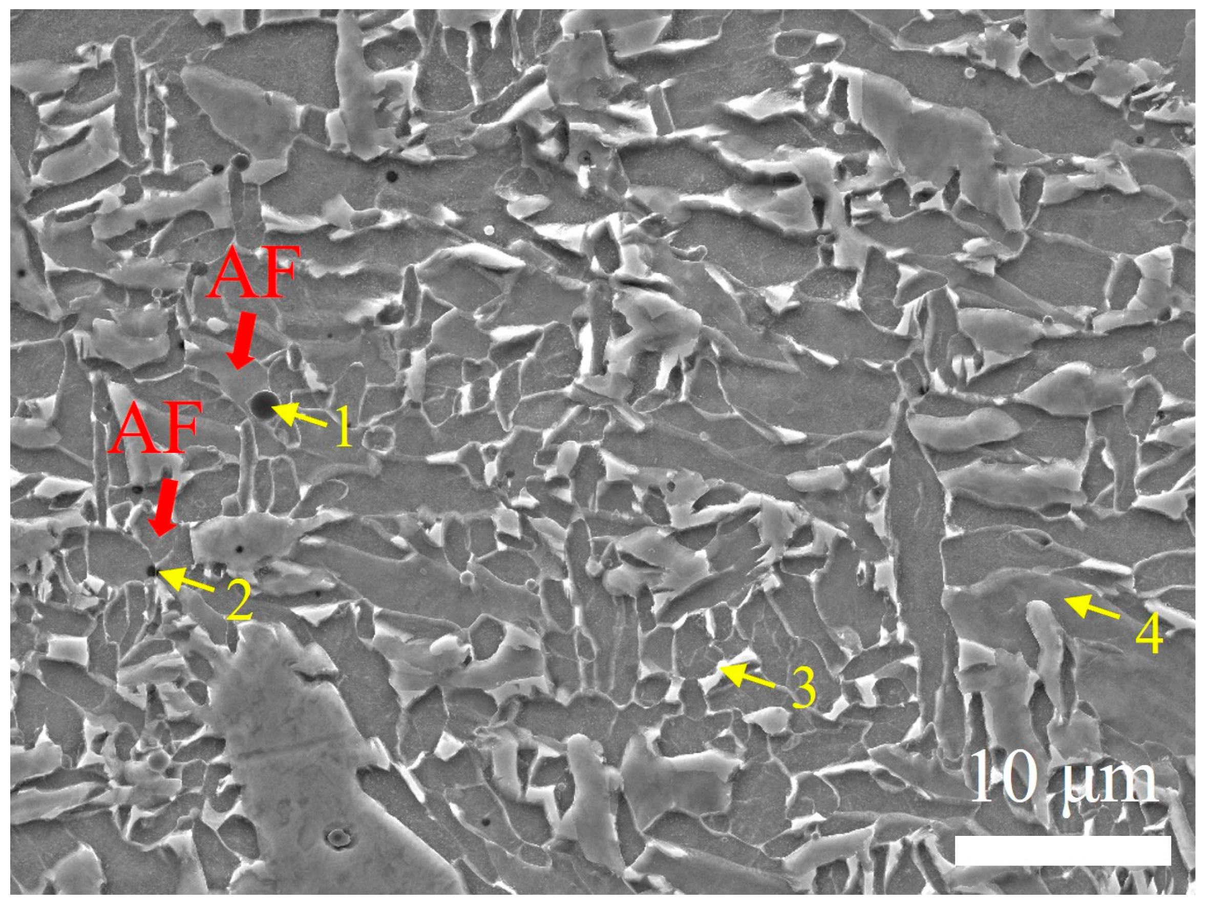 Materials 18 02805 g012