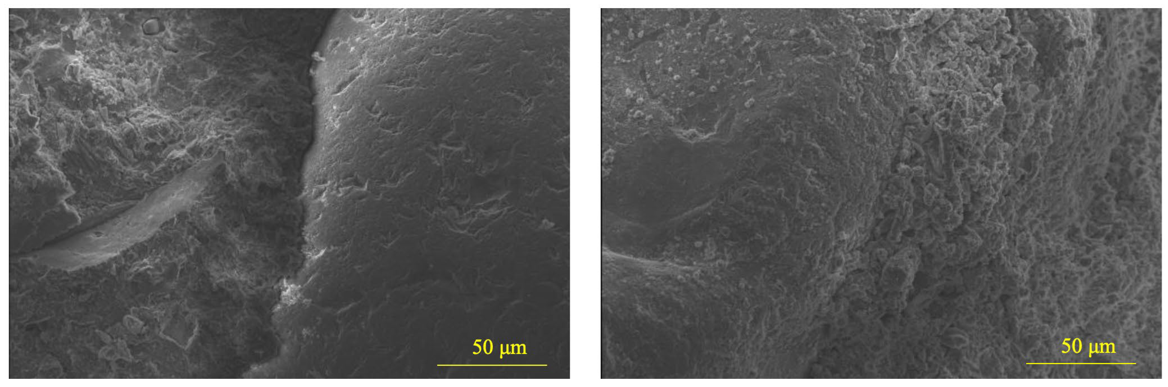 Materials 18 02838 g007