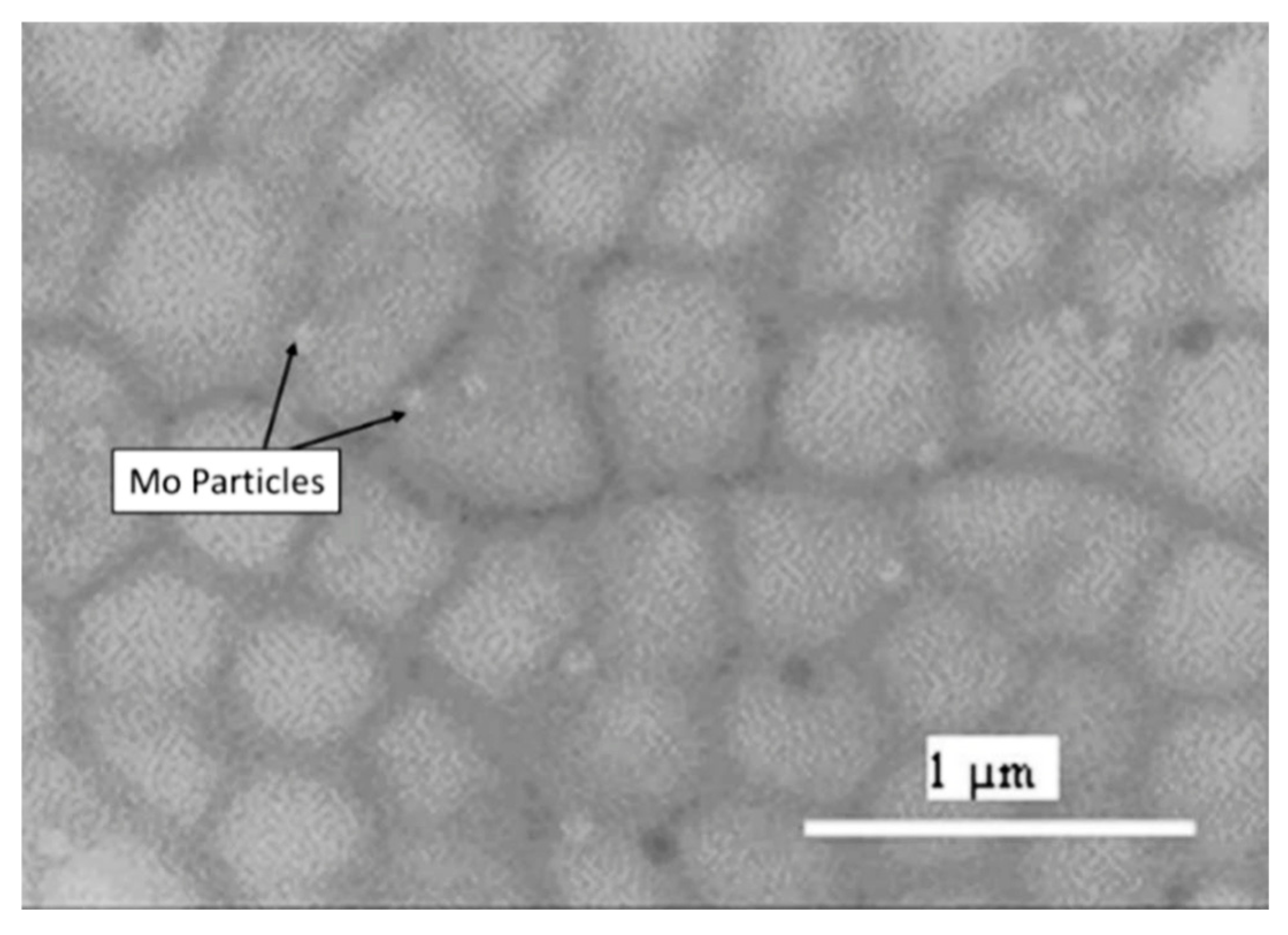 Materials 18 02870 g007