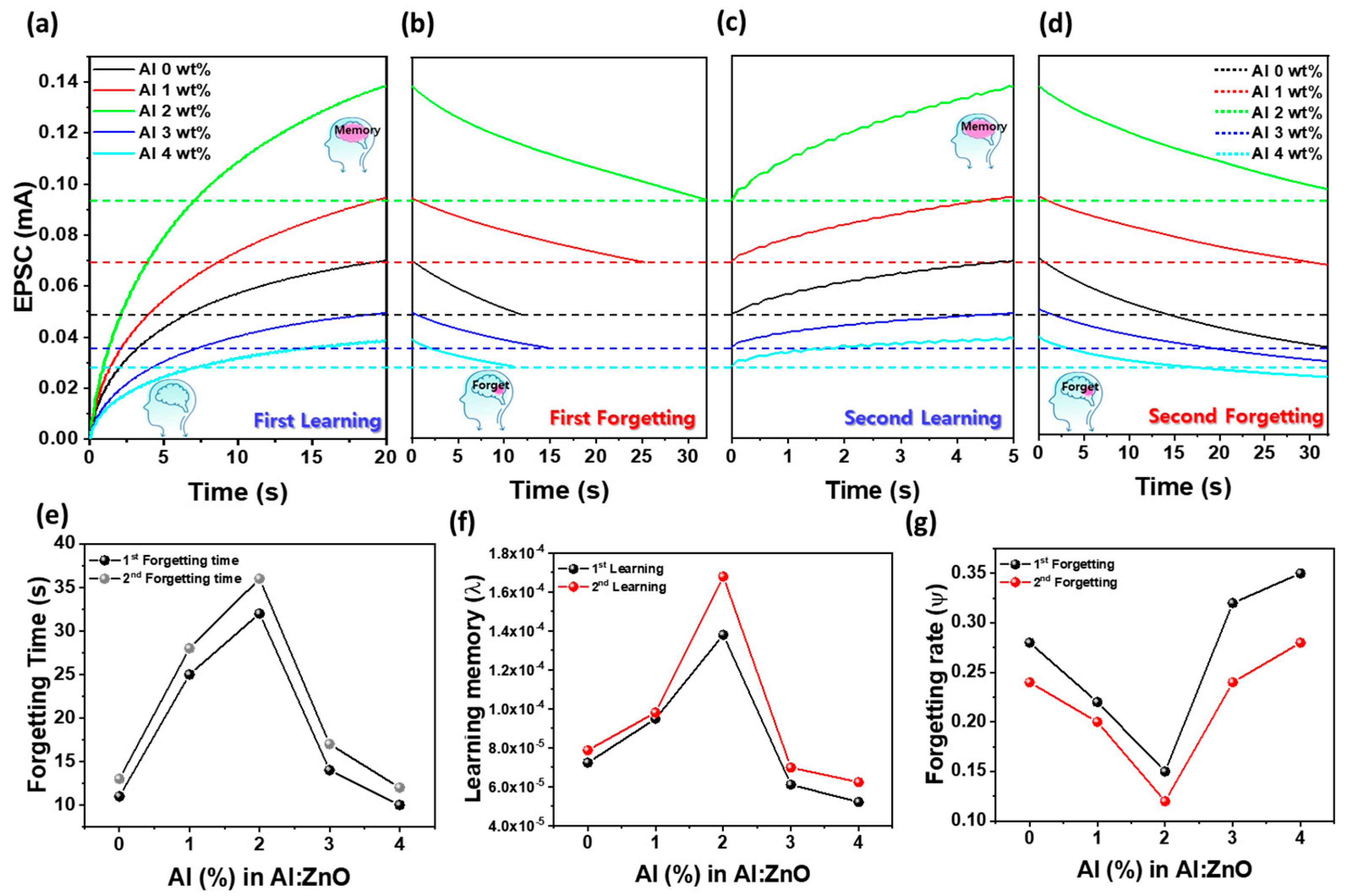 Materials 18 02931 g005