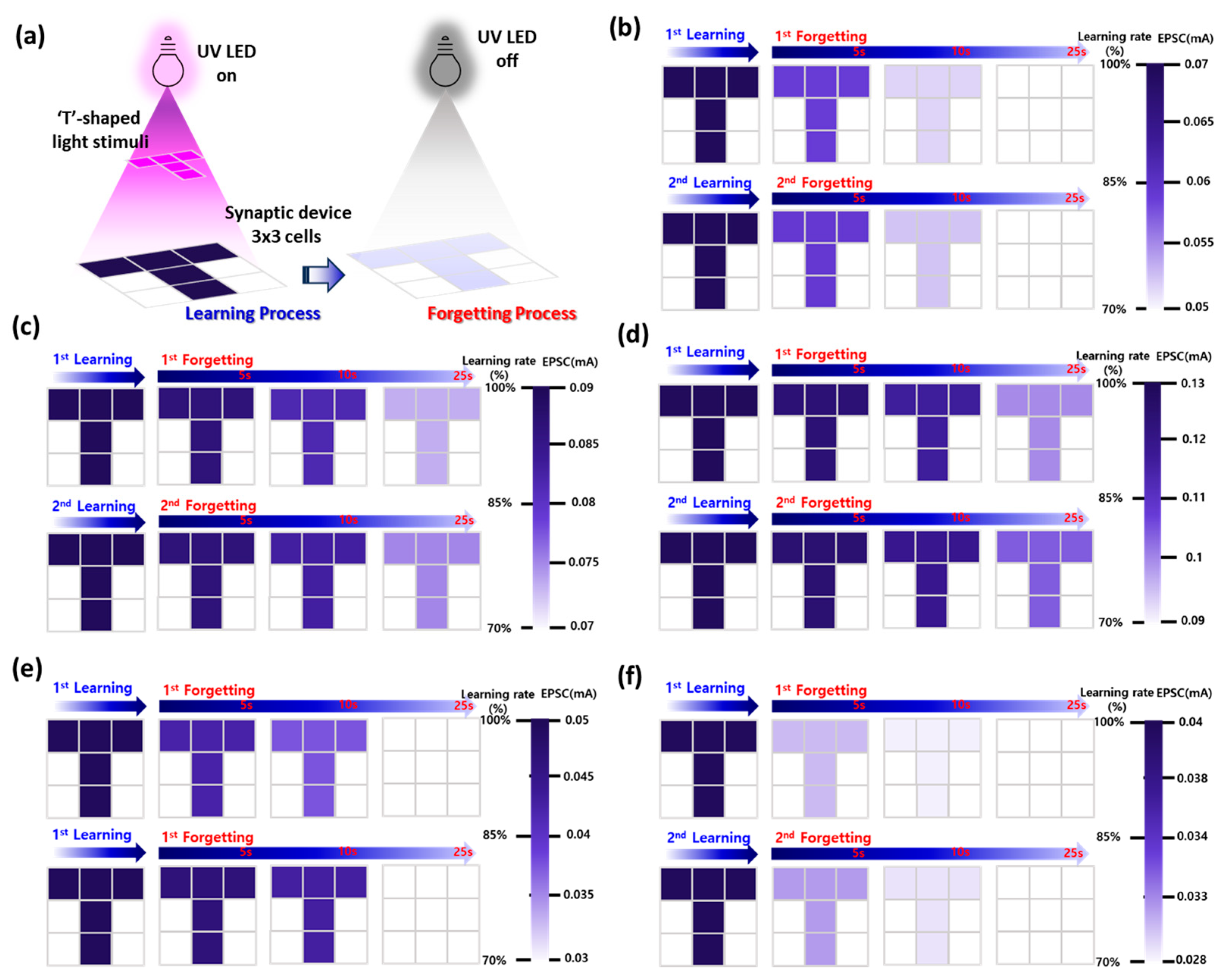 Materials 18 02931 g006