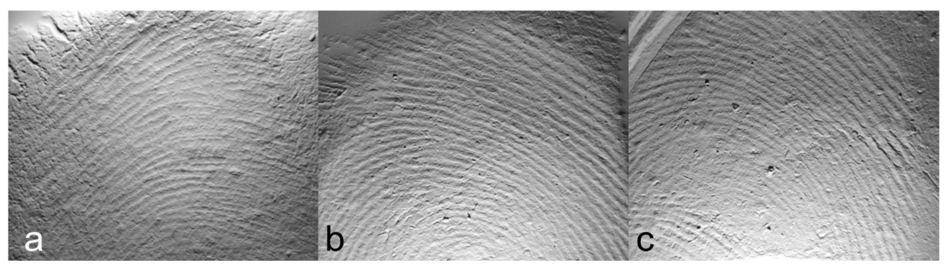 Materials 18 02939 g006 Materials 18 02939 g006